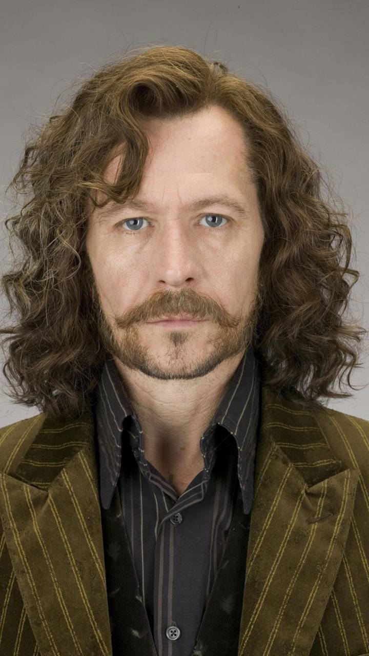 Sirius Black, brown pinstripe jacket, long wavy brown hair, HD Phone Wallpaper
