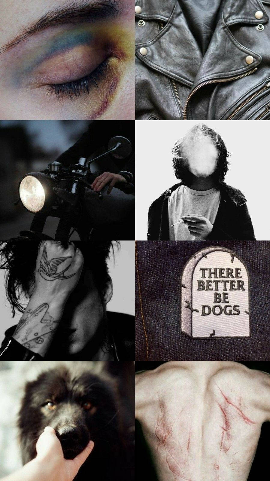 Sirius Black, animagus, rainbow eye, HD Phone Wallpaper