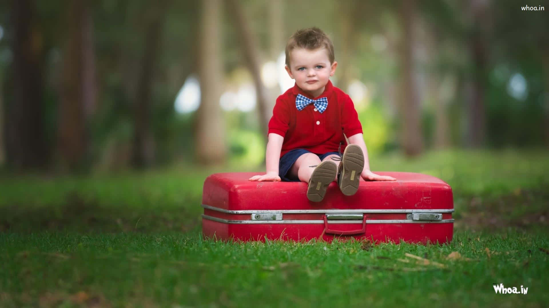 baby boy, red shirt, bowtie, Full HD Desktop Wallpaper