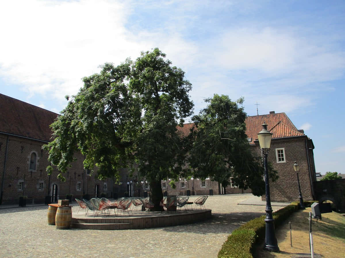Sittard, historical courtyard, leafy tree, SD Desktop Wallpaper