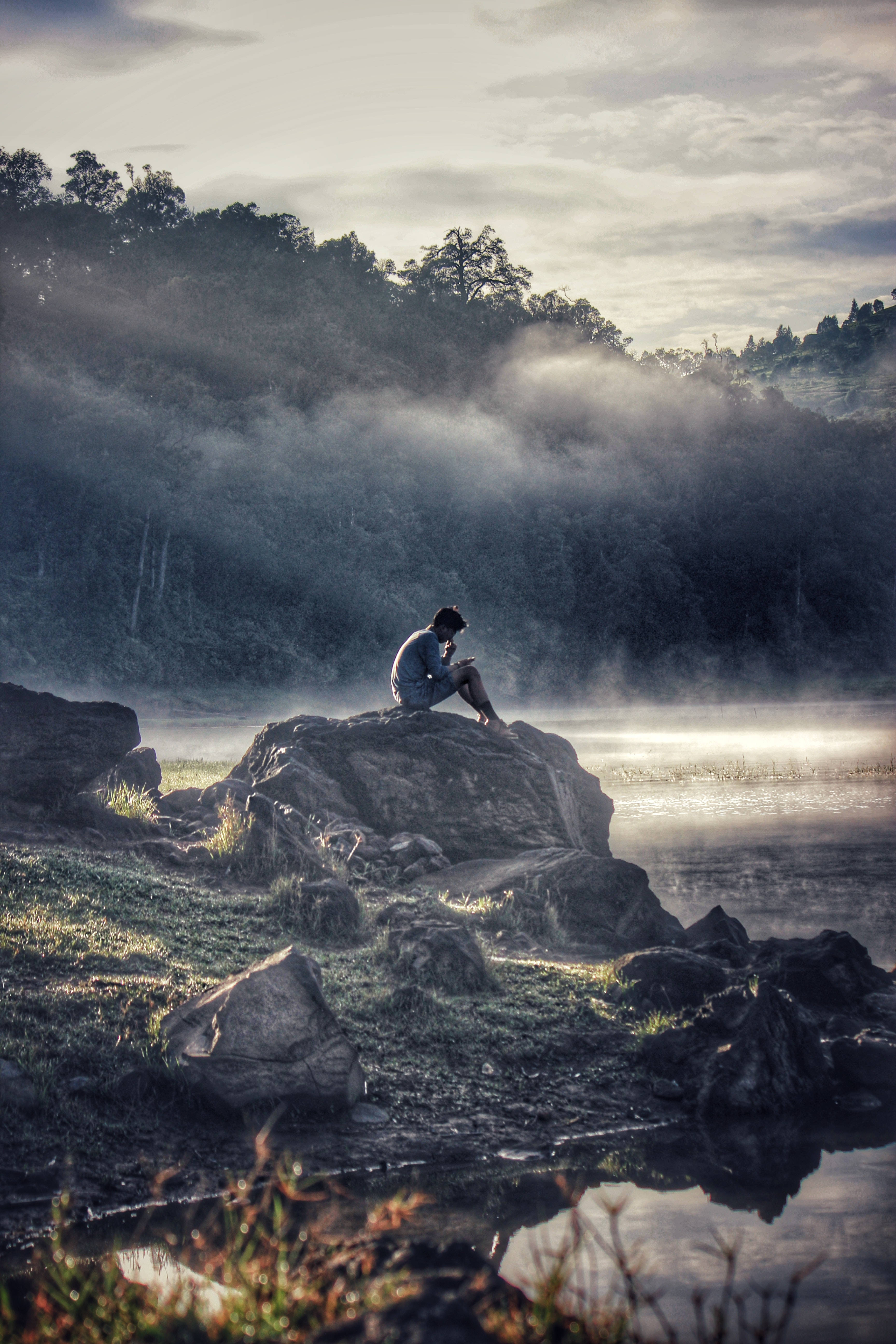 man with phone, mossy rock, dawn, 5K Phone Wallpaper