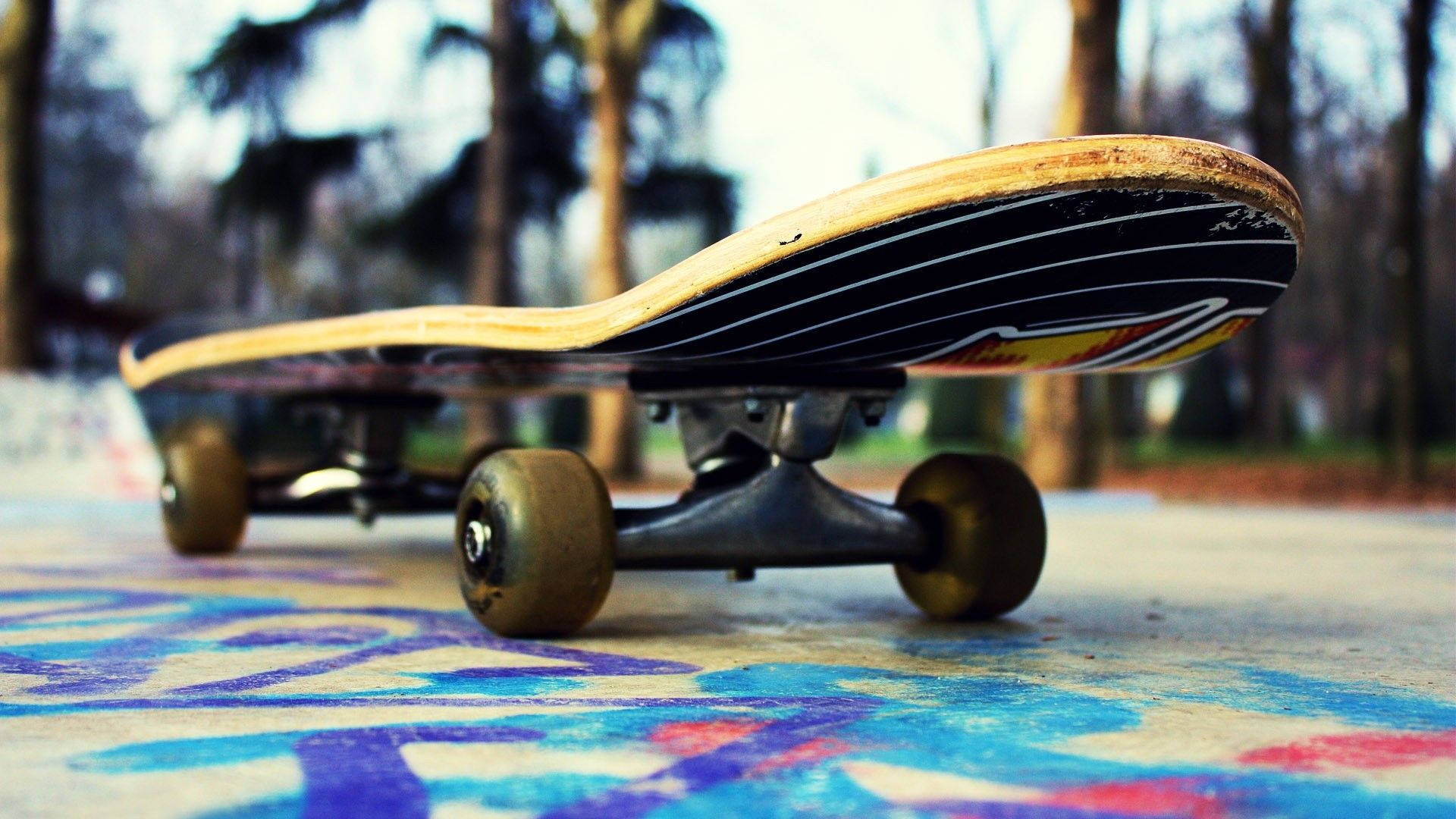 skateboard, graffiti-covered pavement, blurred trees, Full HD Desktop Wallpaper