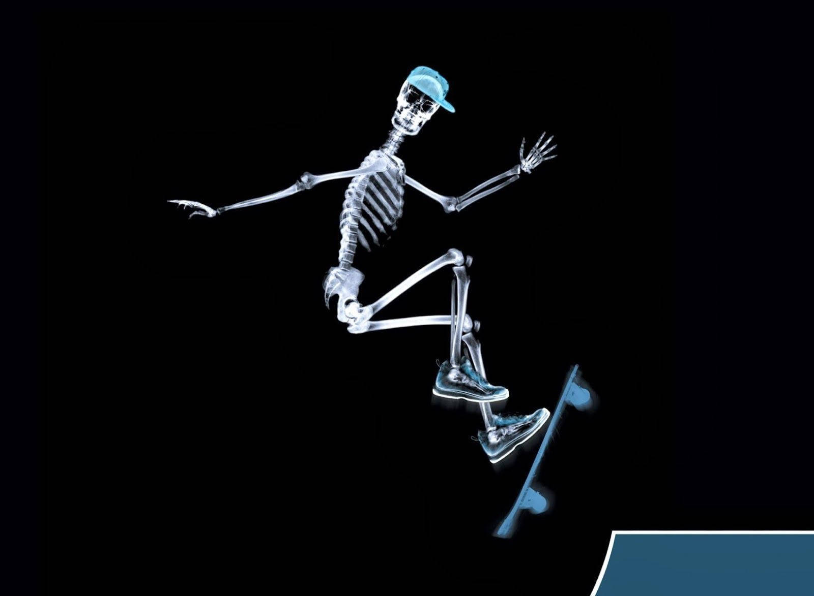 skeleton, blue cap, sneakers, HD Desktop Wallpaper