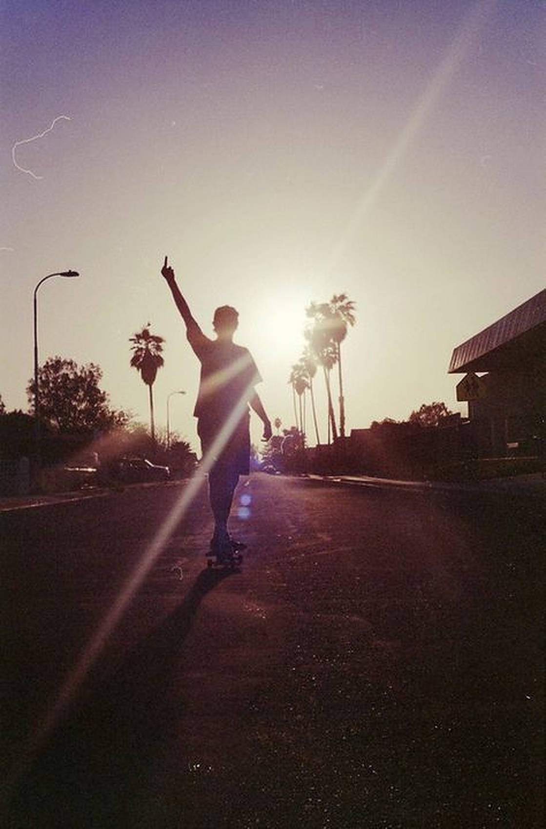 skateboarder, glowing sunset, palm-lined street, HD Phone Wallpaper