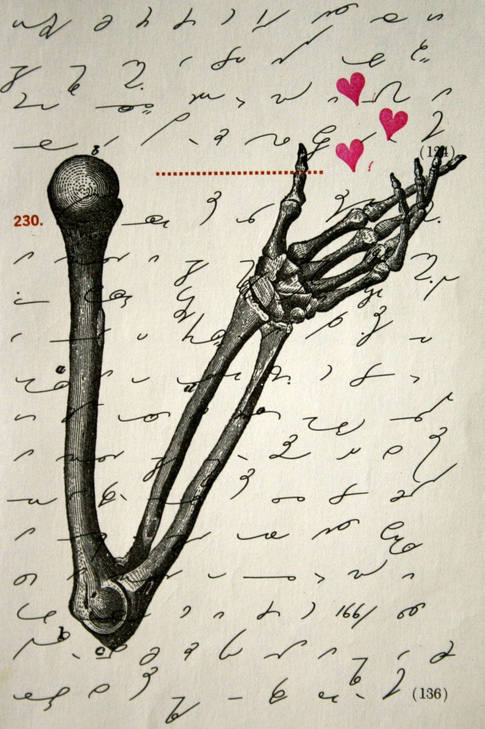 Skeleton Love, human foot skeleton, three pink hearts, HD Phone Wallpaper