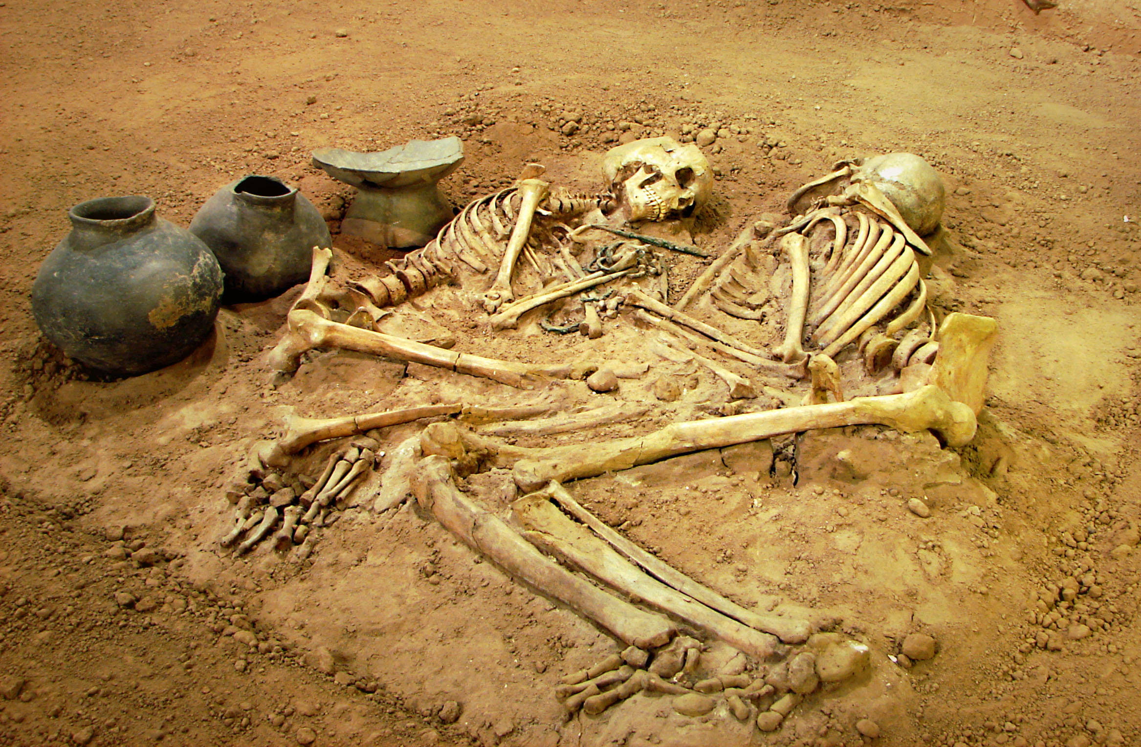 Skeleton Love, reddish-brown earth, weathered clay pots, Full HD Desktop Wallpaper