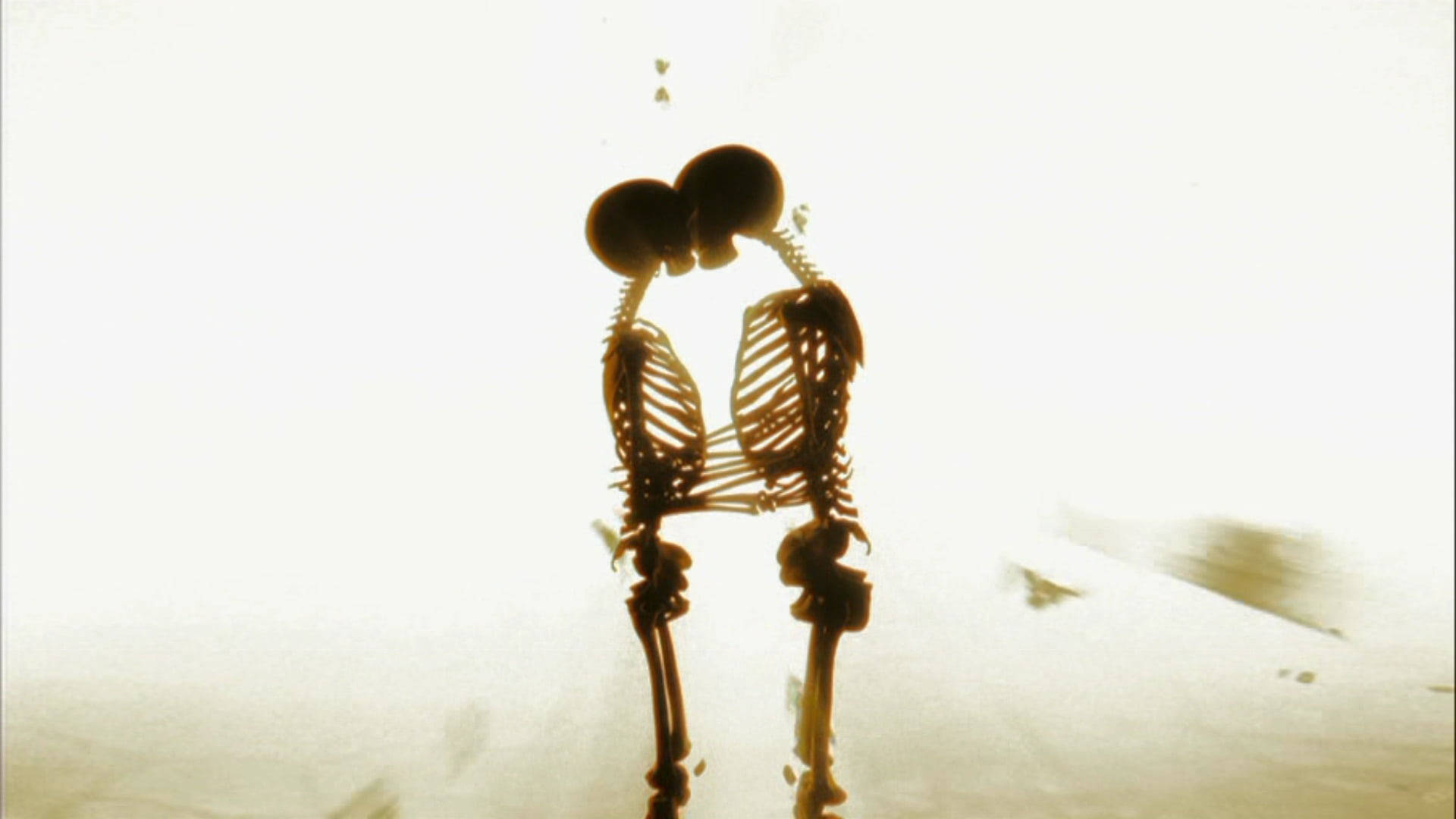Backlit Skeleton Love, skeletons, silhouette, Full HD Desktop Wallpaper