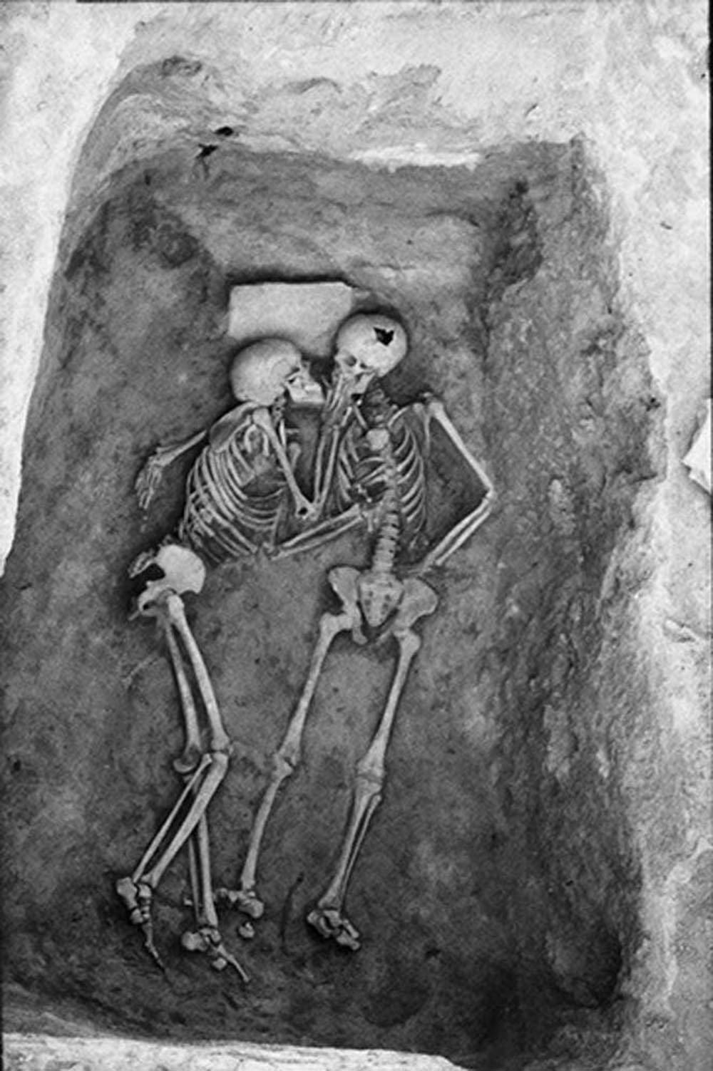 Skeleton Love, kissing, grave, HD Phone Wallpaper