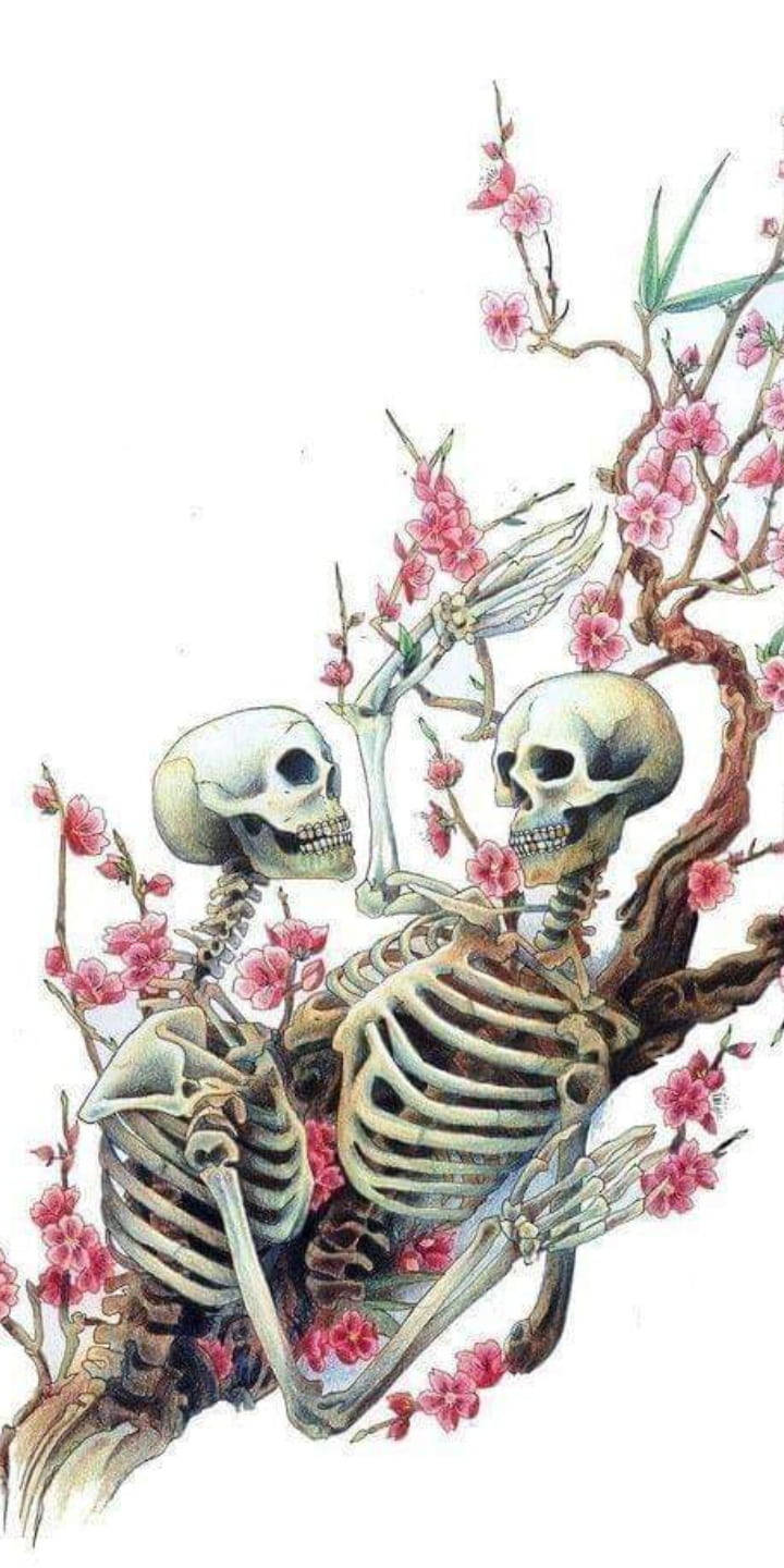 cute skeleton iphone couple, pink cherry blossoms, delicate branch, HD Phone Wallpaper