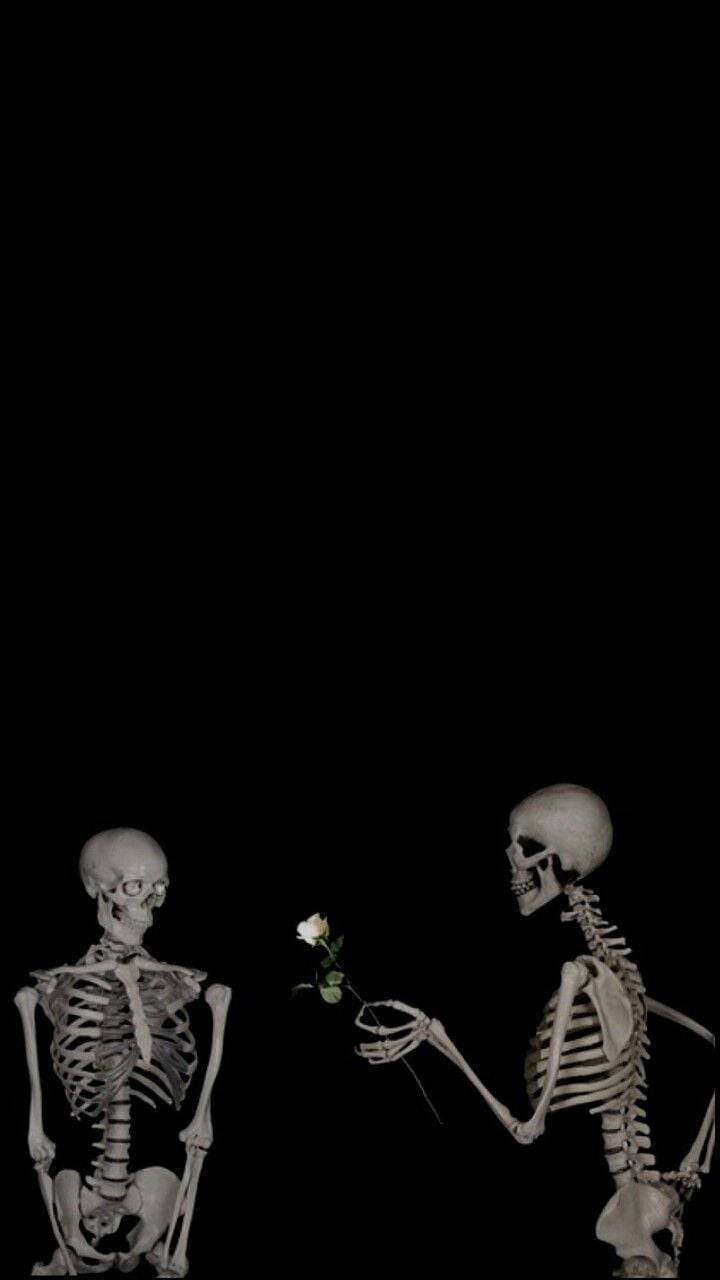 Cute Skeleton Lovers, skeleton, black void, HD Phone Wallpaper