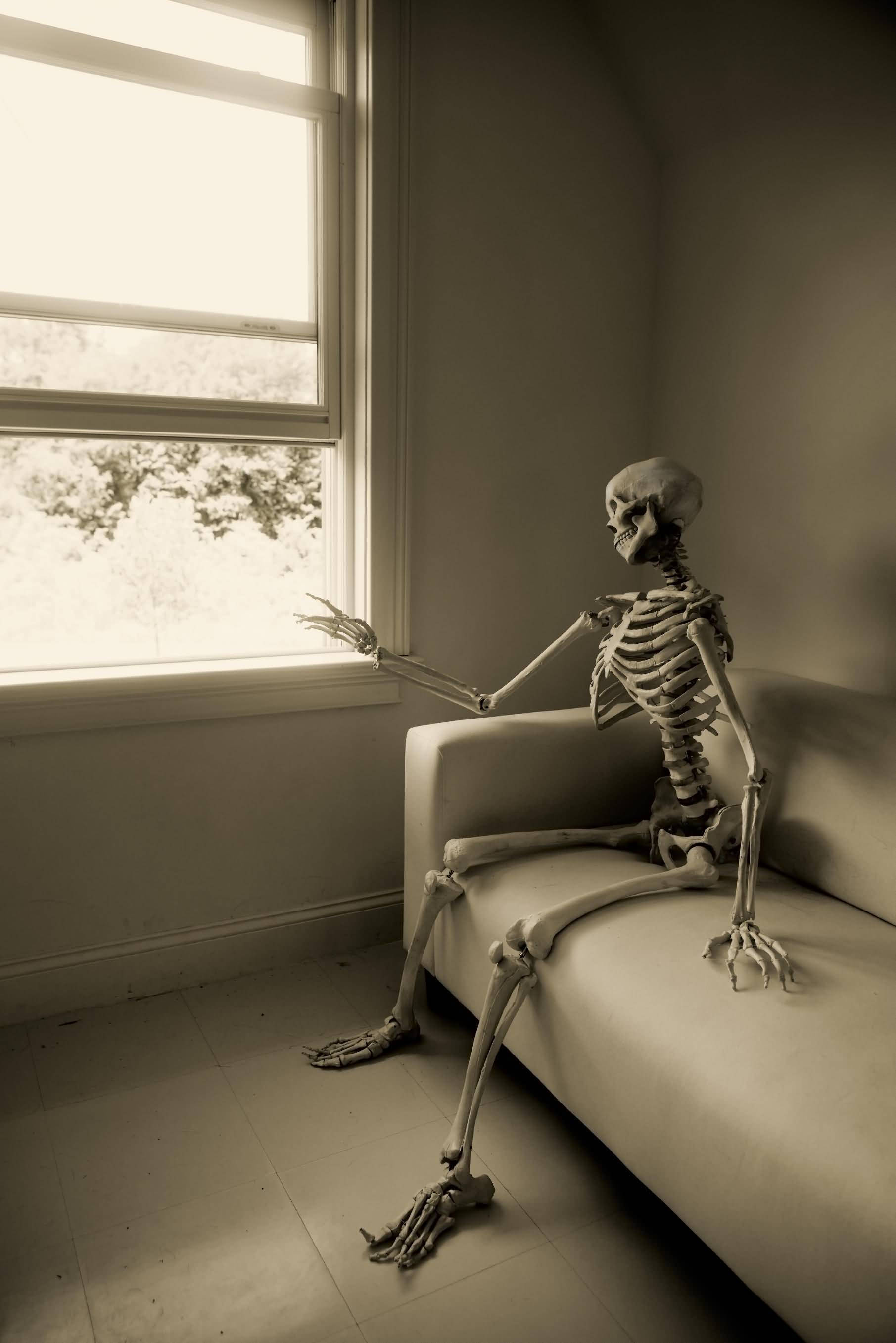 Tired Skeleton Meme, couch, window, 2K Phone Wallpaper