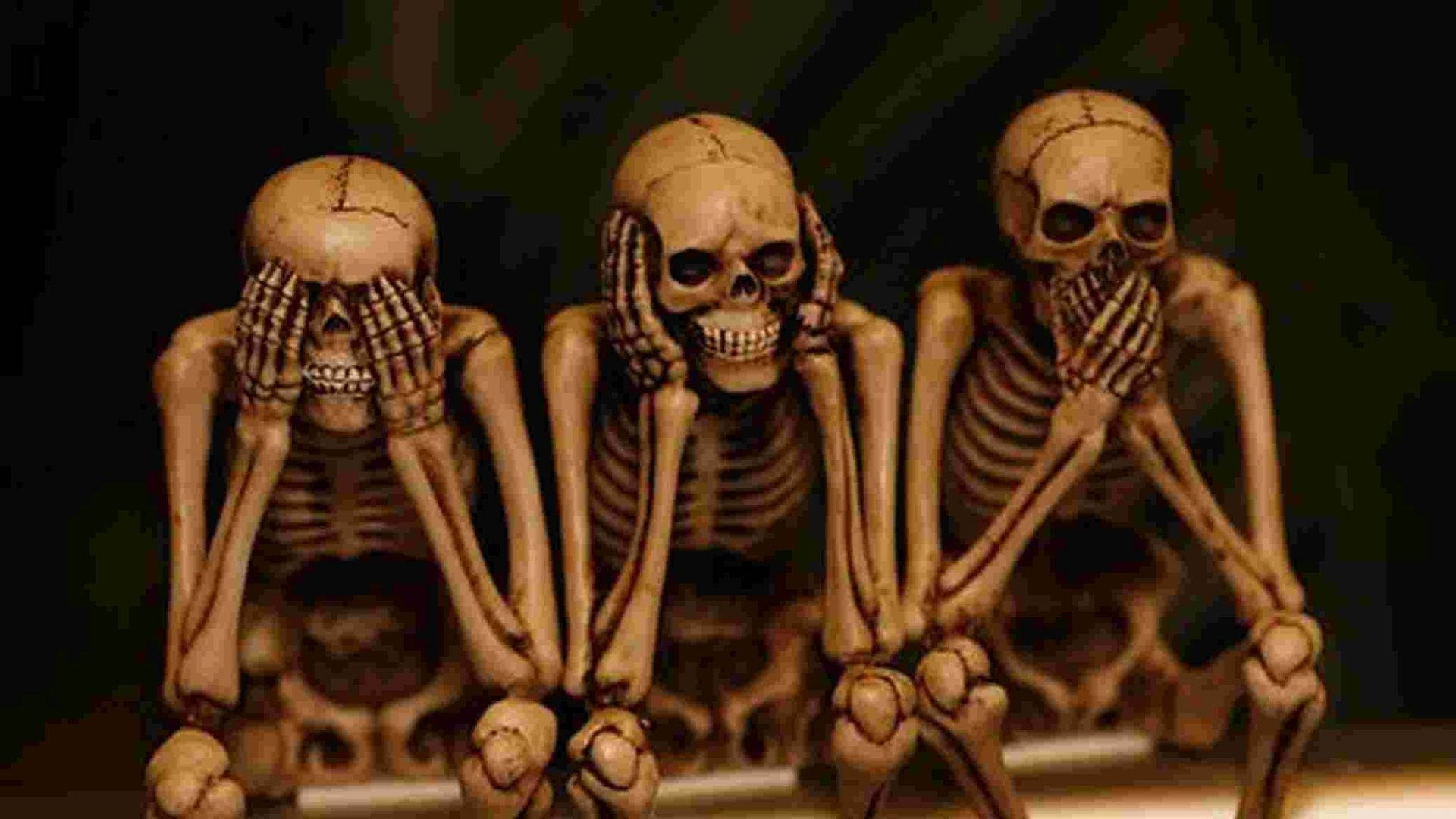 Skeleton Meme, see no evil hear no evil speak no evil, dark backdrop, Full HD Desktop Wallpaper
