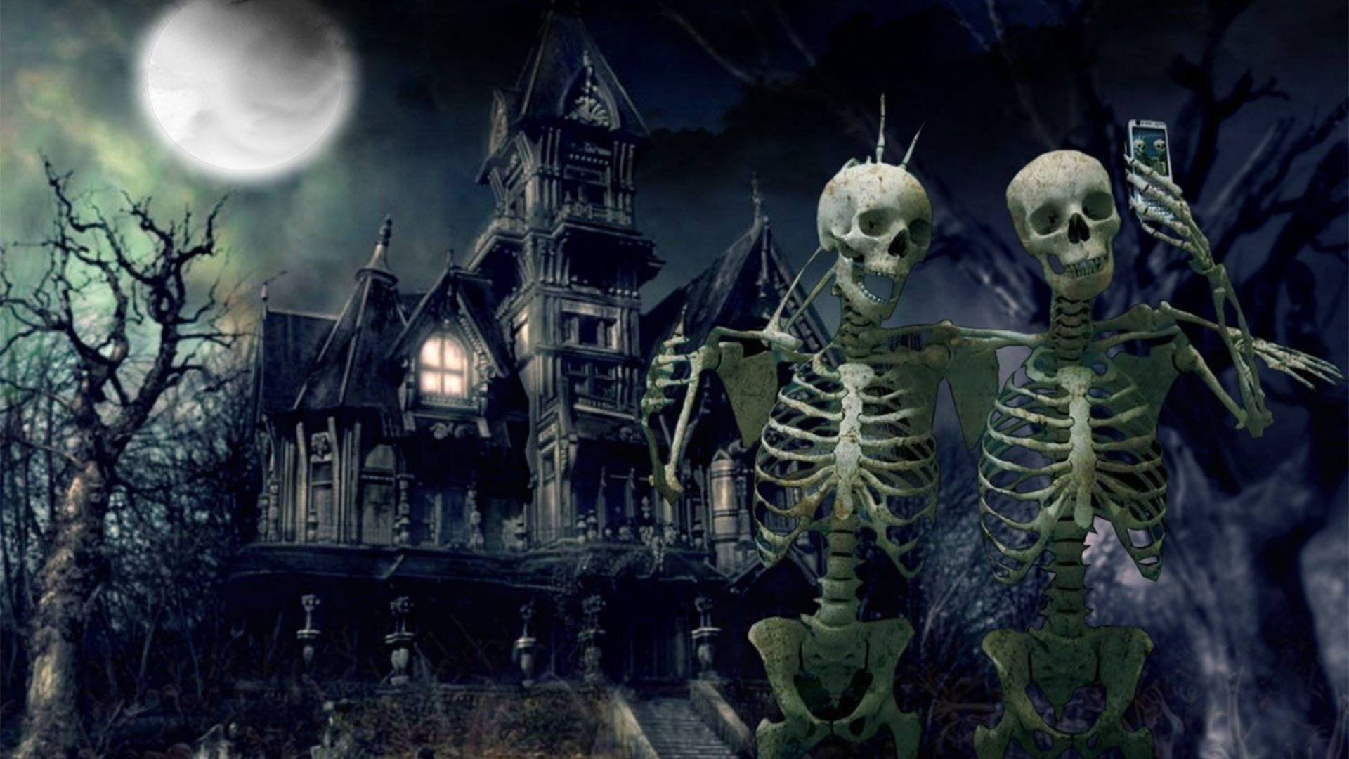 Skeletons Meme Selfie, skeletons, haunted mansion, Full HD Desktop Wallpaper