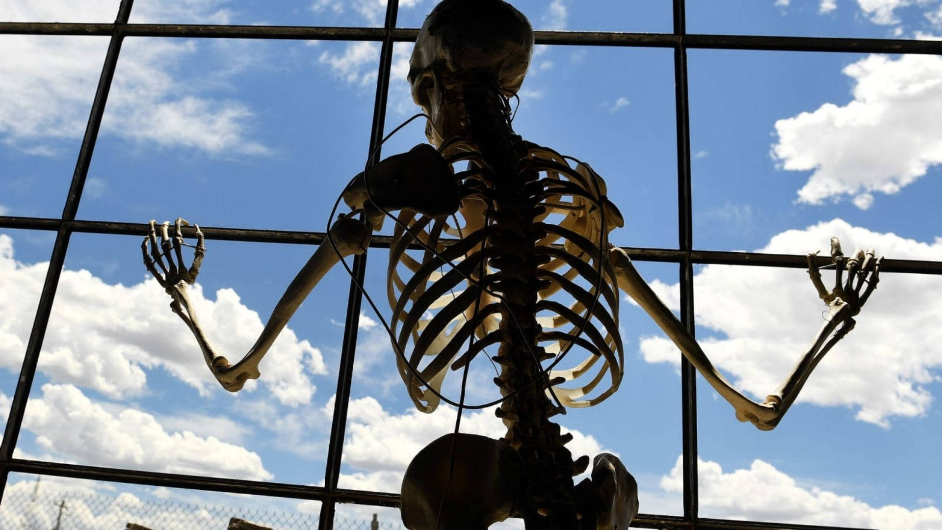 Skeleton Meme, yoga pose, metal grid, Full HD Desktop Wallpaper