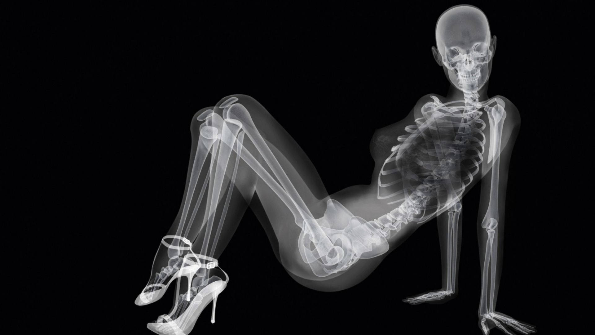Sexy Skeleton Meme, x-ray view, human skeleton, Full HD Desktop Wallpaper