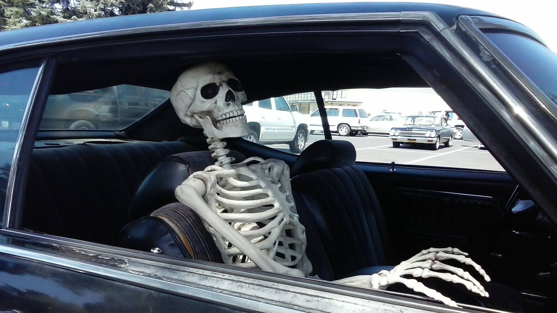 Skeleton Meme, driver's seat, vintage car, Full HD Desktop Wallpaper