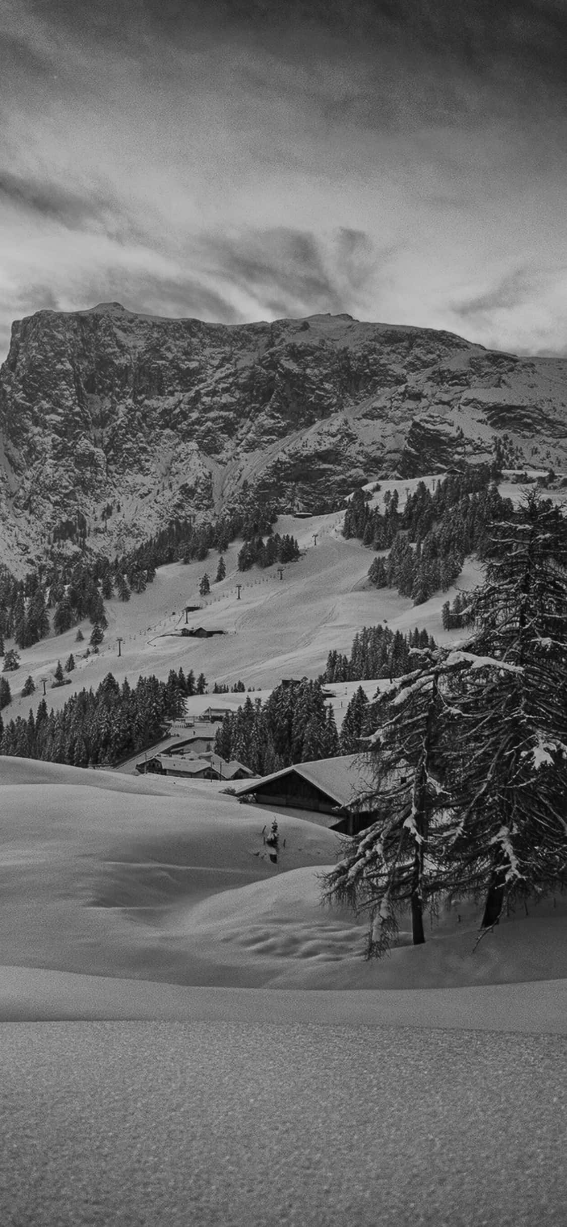 Ski Mountain, snow-covered mountain village, pine trees, Full HD Phone Wallpaper