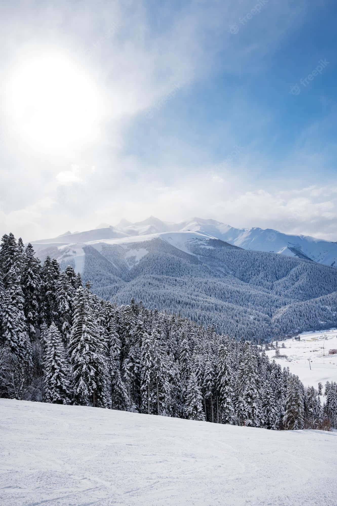 Ski Mountain, evergreen forests, mountain peaks, Full HD Phone Wallpaper