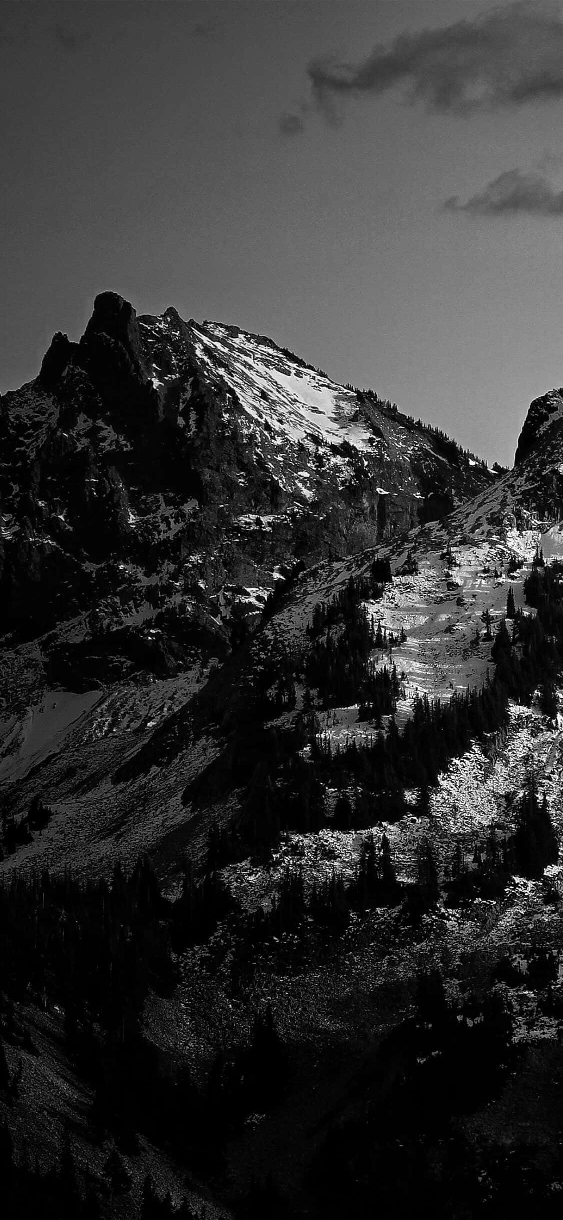 black and white, snow-capped peaks, dense forests, Full HD Phone Wallpaper