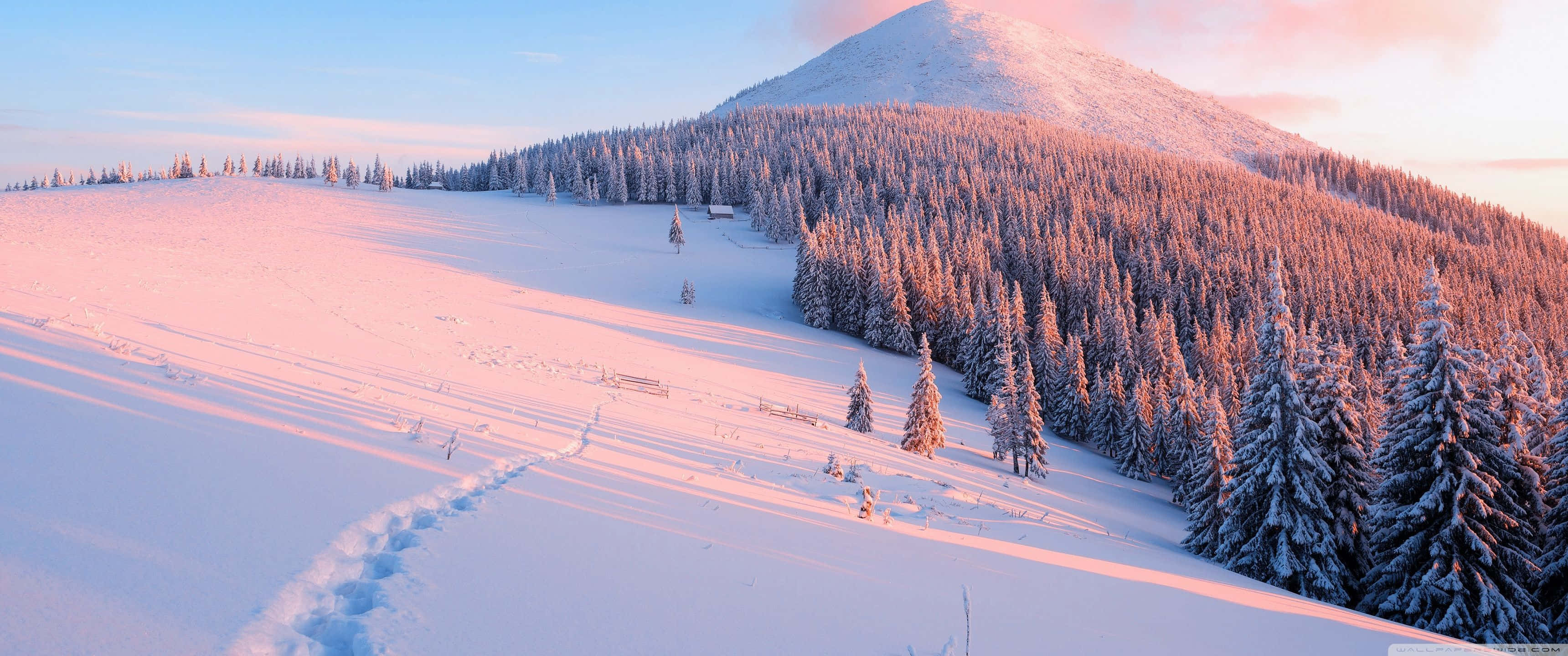 sunrise, snow-covered mountain slope, pristine white snow, 2K Desktop Wallpaper