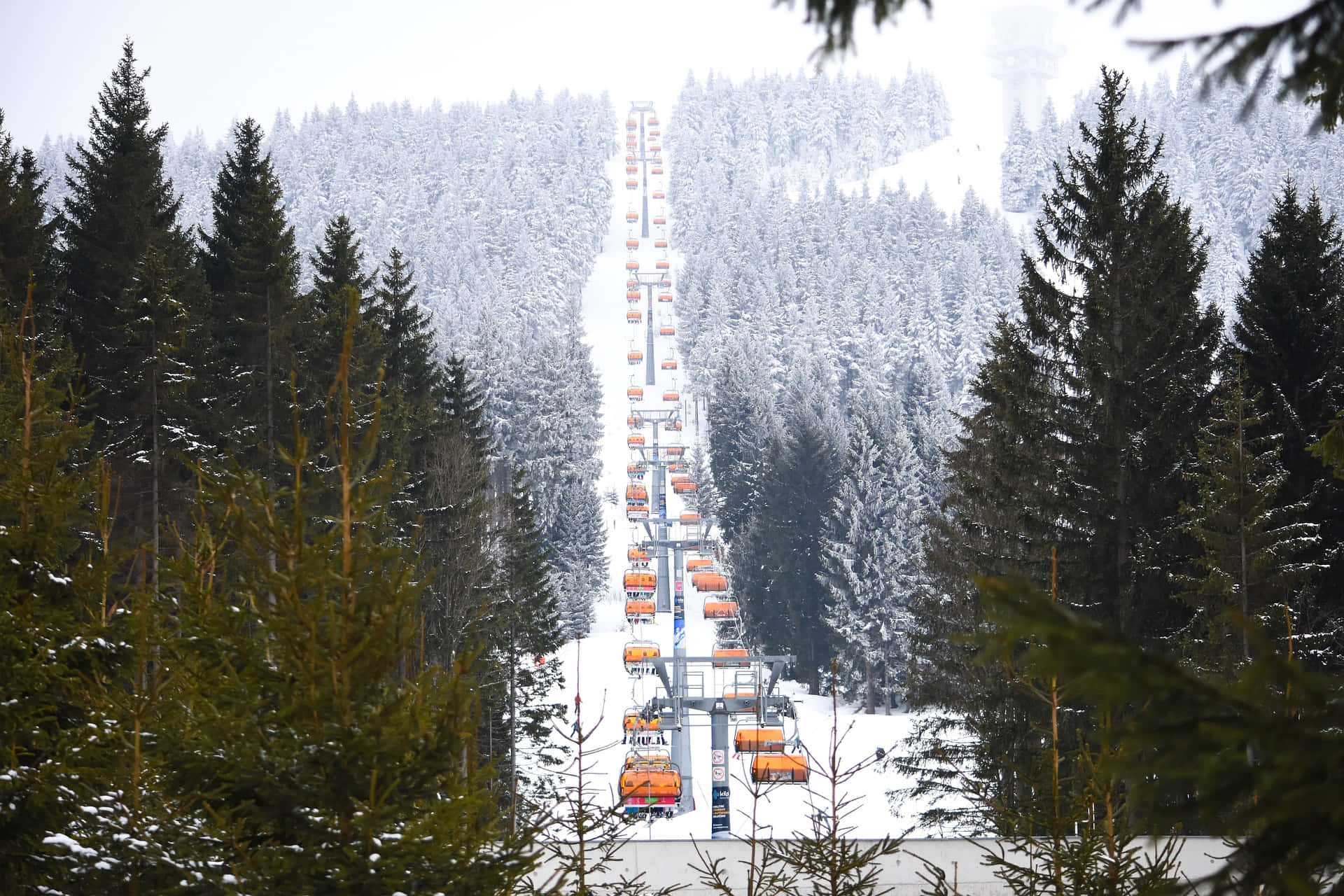 orange ski lifts, snow-covered mountain, dense evergreen forests, Full HD Desktop Wallpaper