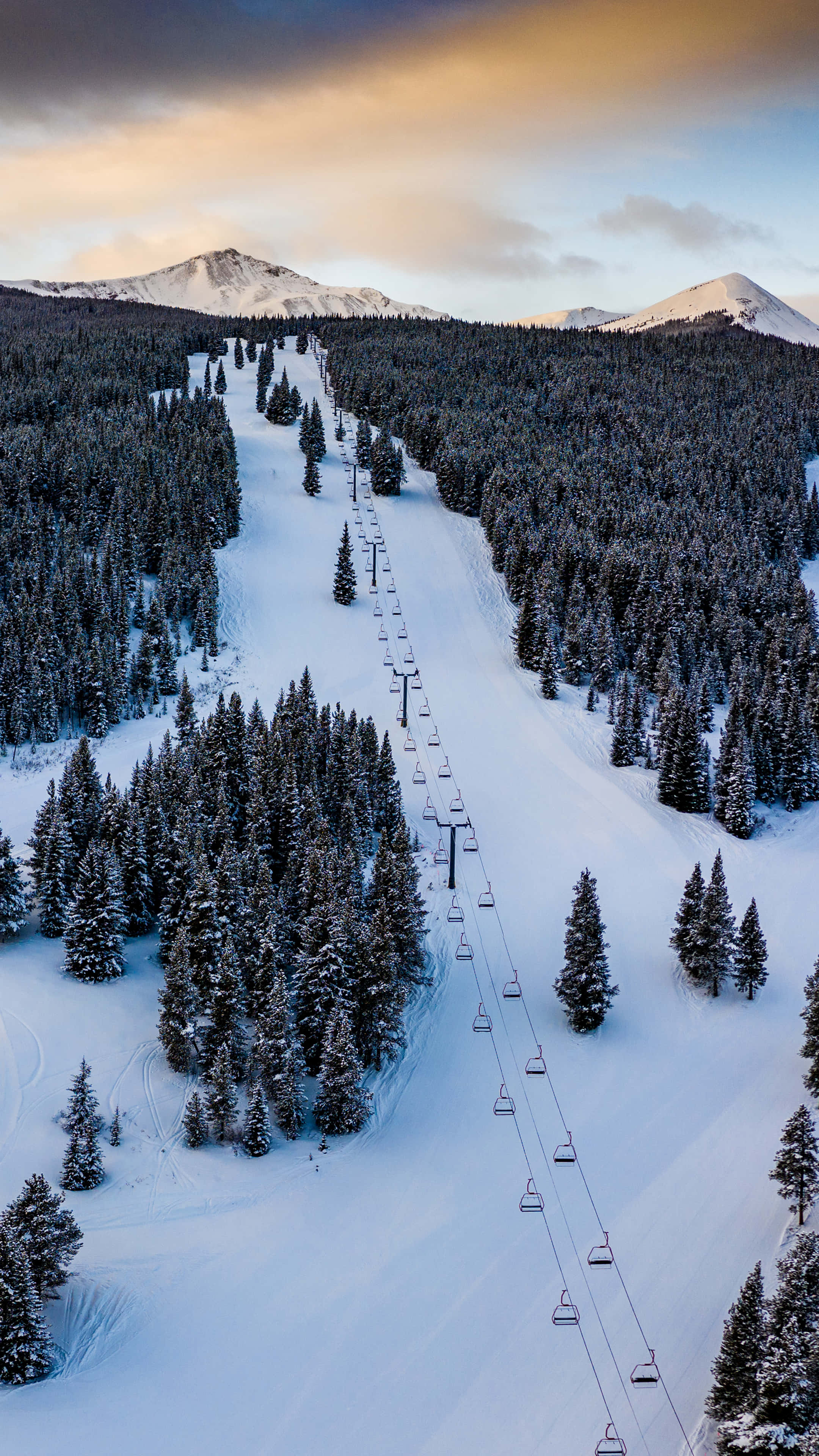 Ski Mountain, snowy ski slope, pine forests, 4K Phone Wallpaper