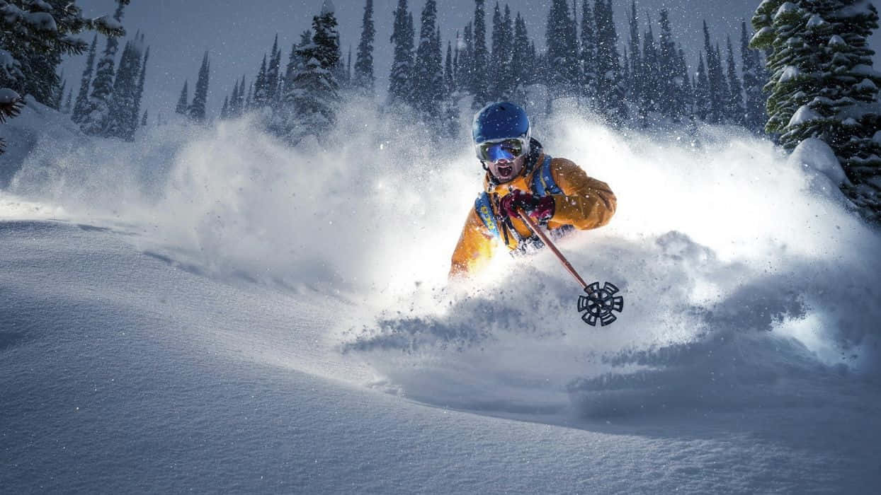 bright orange jacket, deep powder snow, snow-covered pine trees, SD Desktop Wallpaper