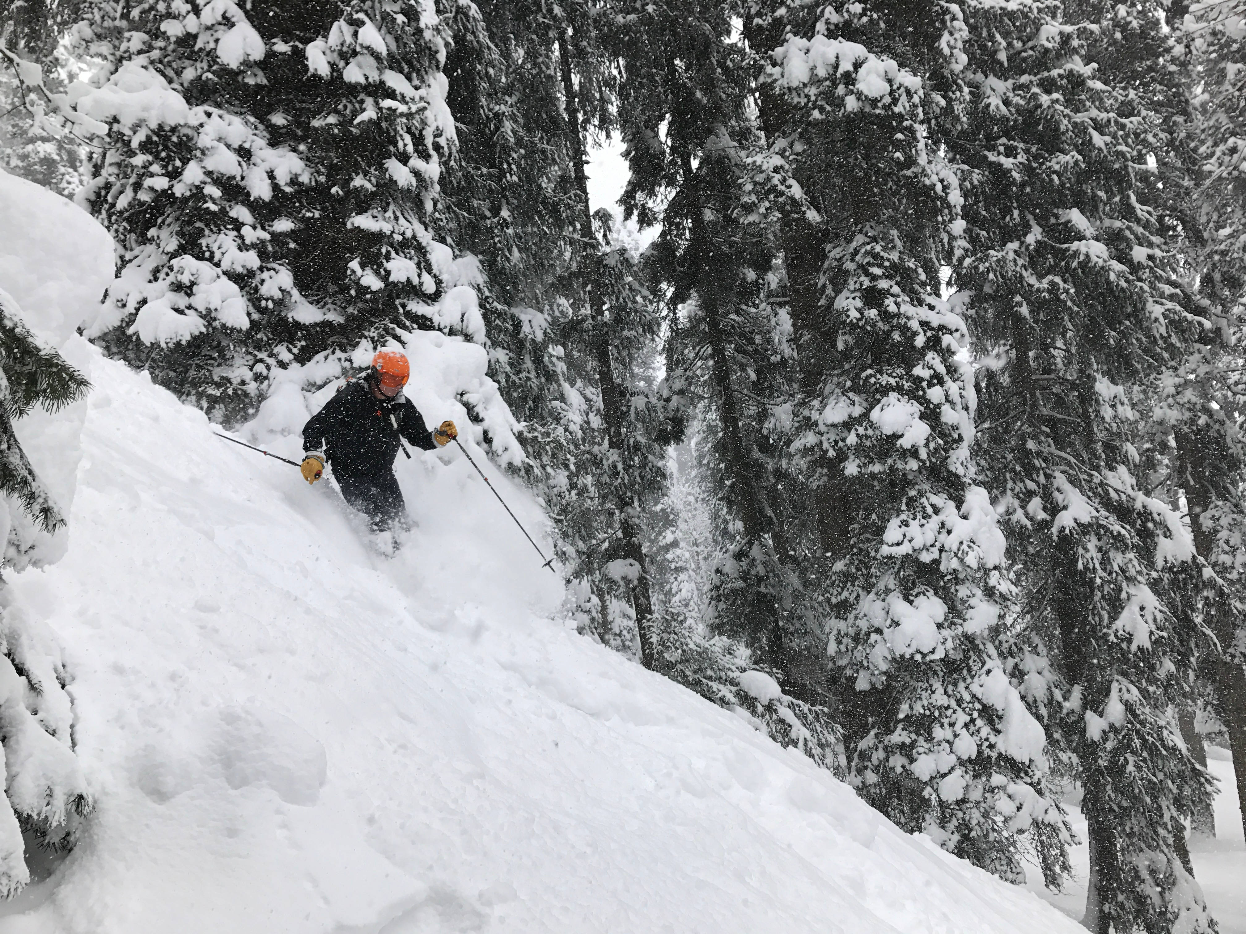 orange helmet, deep powder snow, snow-laden evergreen trees, 4K Desktop Wallpaper