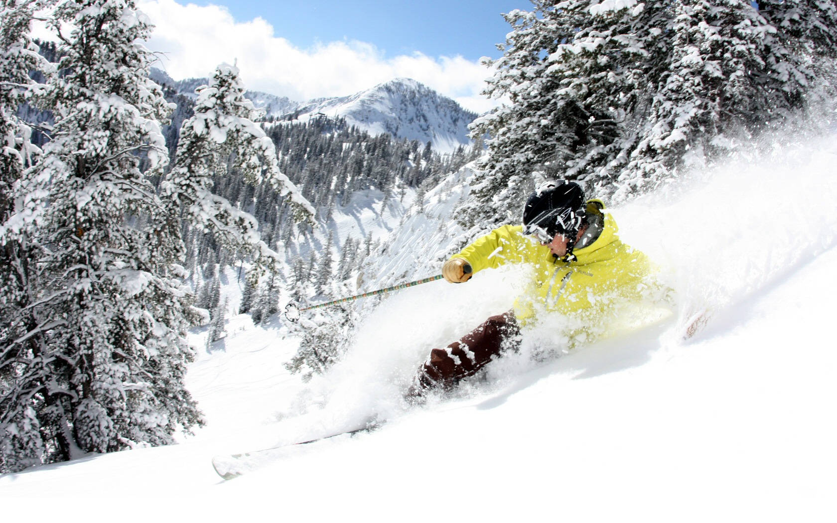 bright yellow jacket, deep powder snow, snow-laden pine trees, HD Desktop Wallpaper