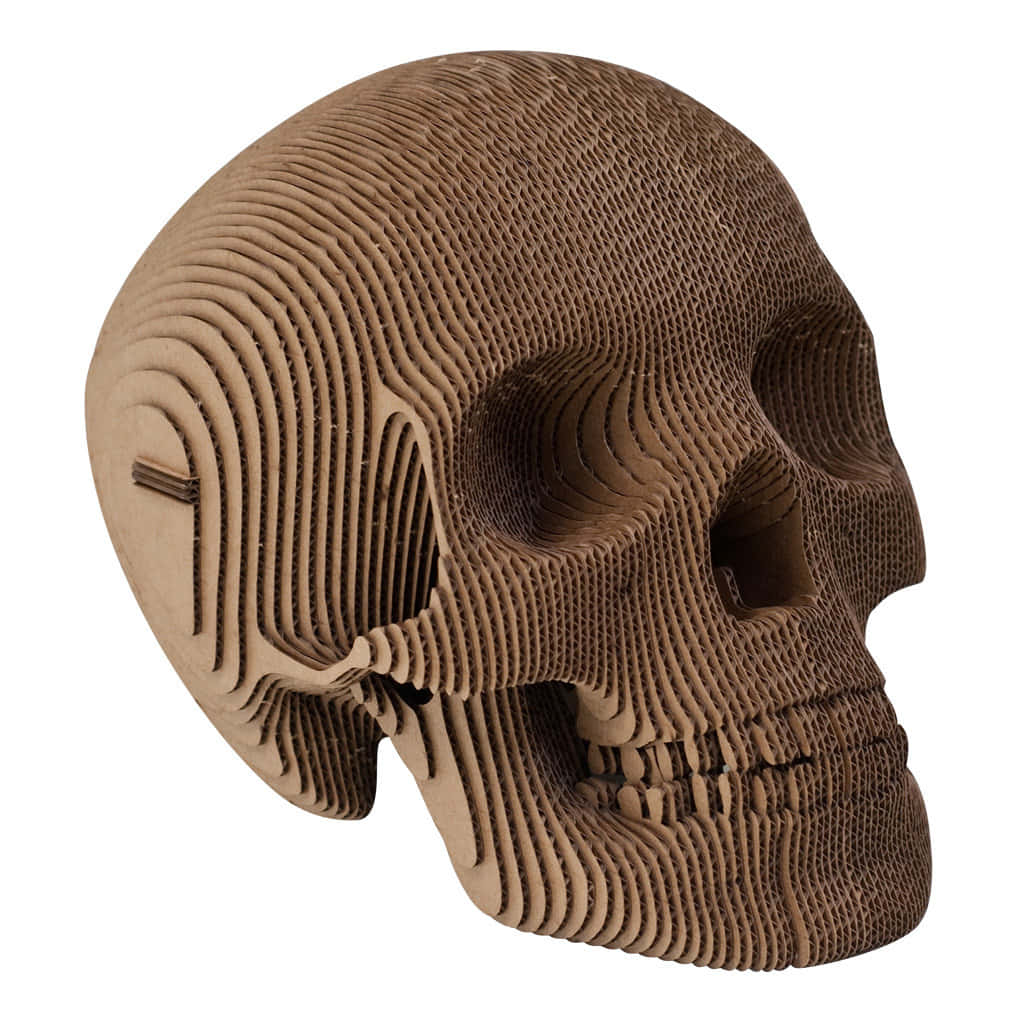 3D skull, cardboard skull sculpture, layered grooves, SD Desktop Wallpaper