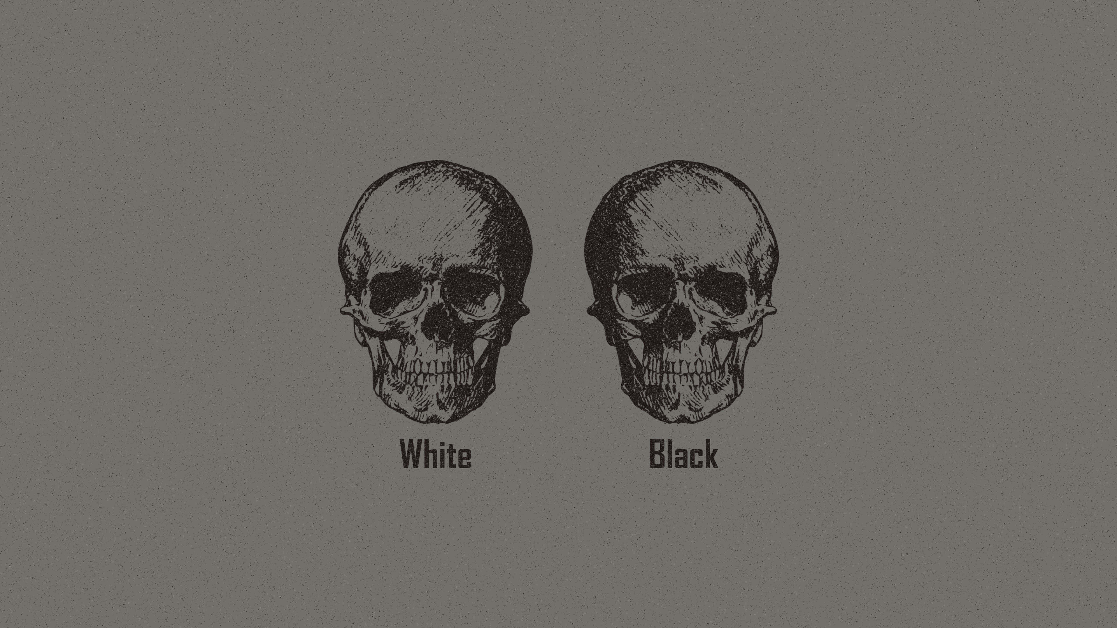 contrasting skulls aesthetic, white skull, black skull, 4K Desktop Wallpaper