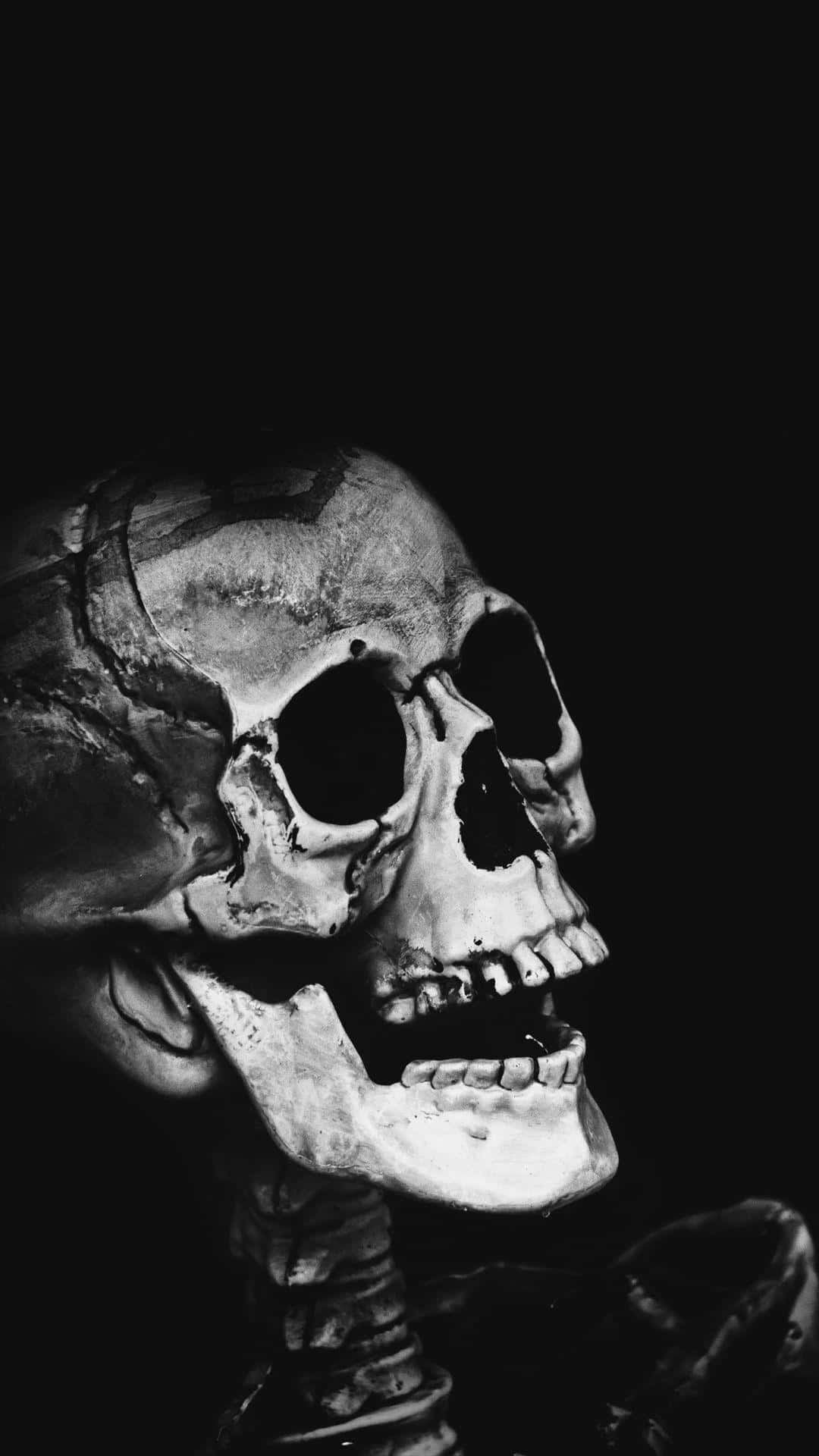 skull phone, black and white, human skull, Full HD Phone Wallpaper