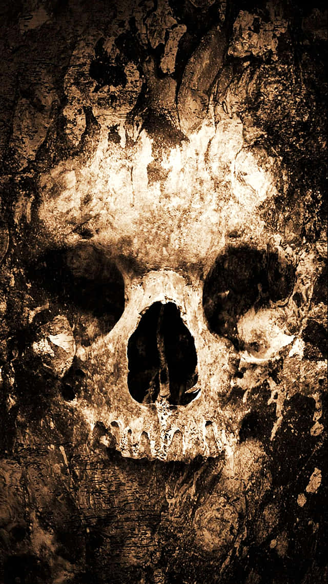 skull, hat, sepia light, SD Phone Wallpaper