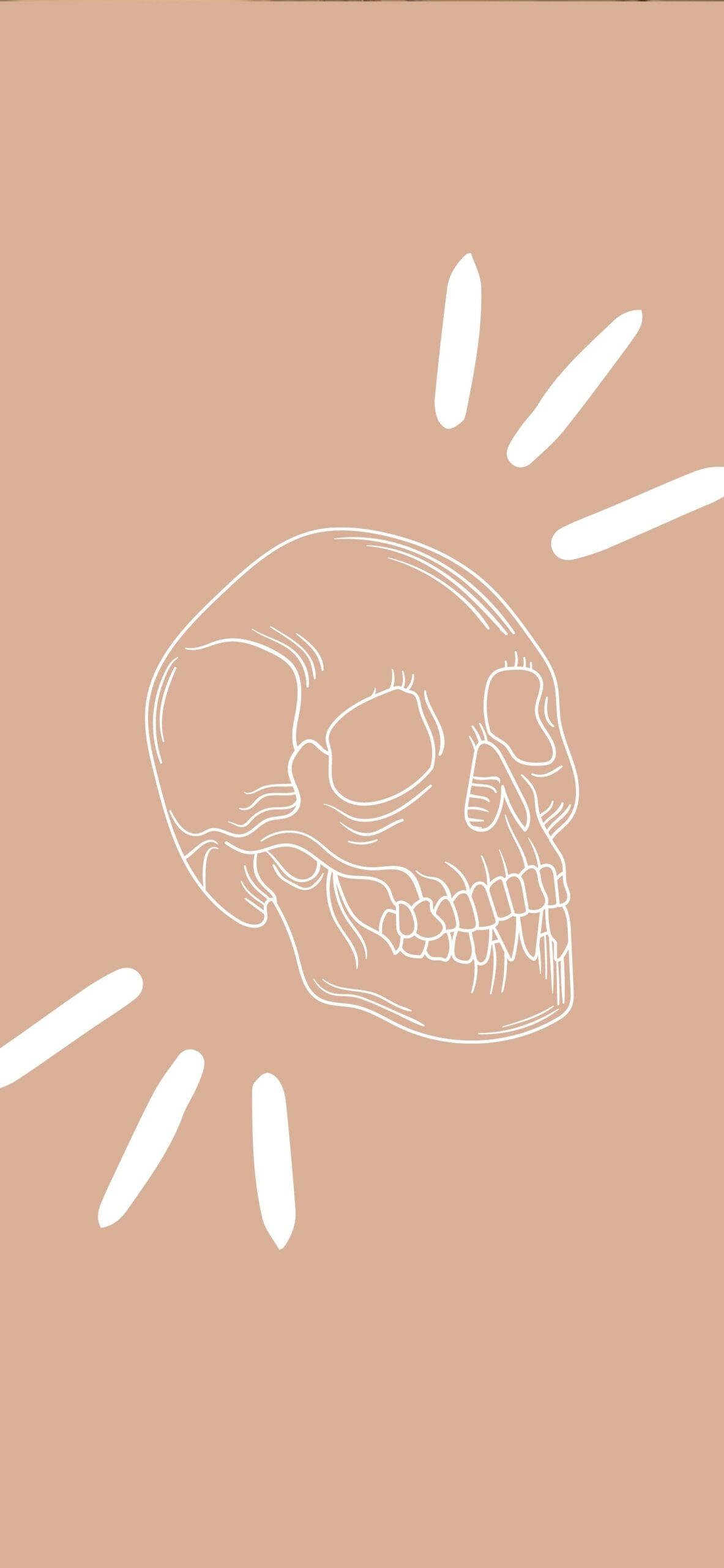 white skull, beige aesthetic, peach background, 2K Phone Wallpaper