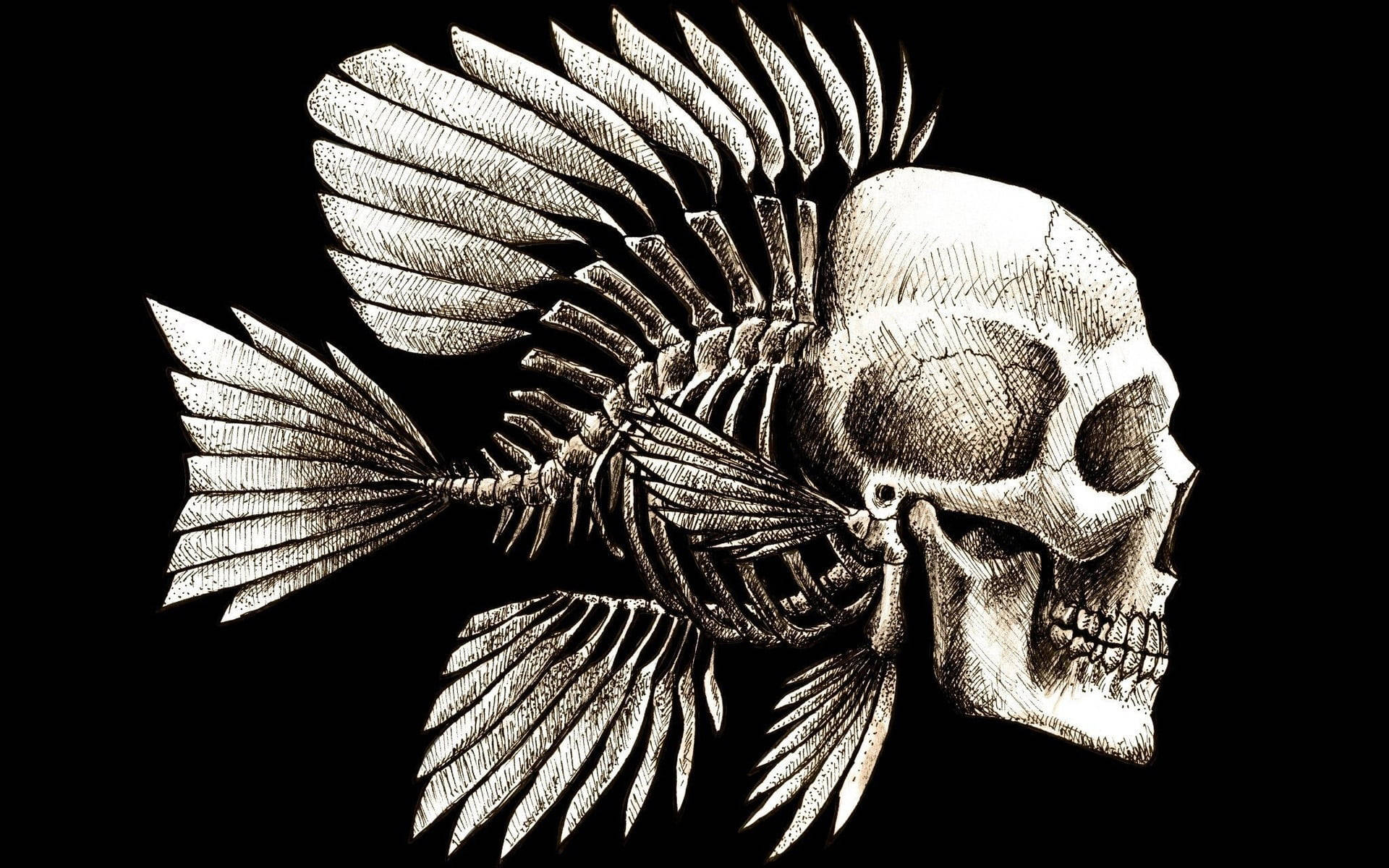 fish skeleton, human skull, black and white illustration, Full HD Desktop Wallpaper