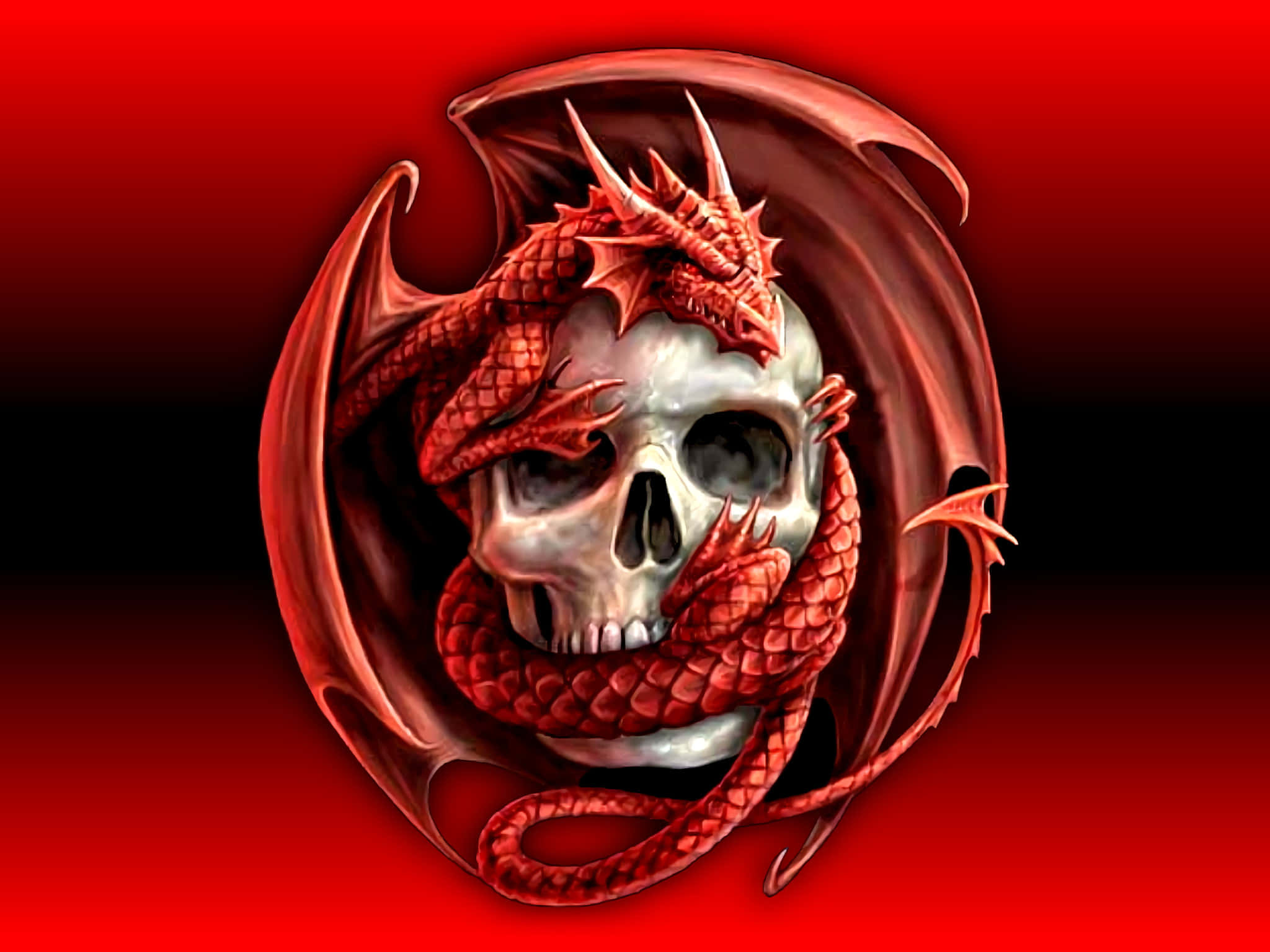 flaming skull, red dragon, silver skull, Full HD Desktop Wallpaper