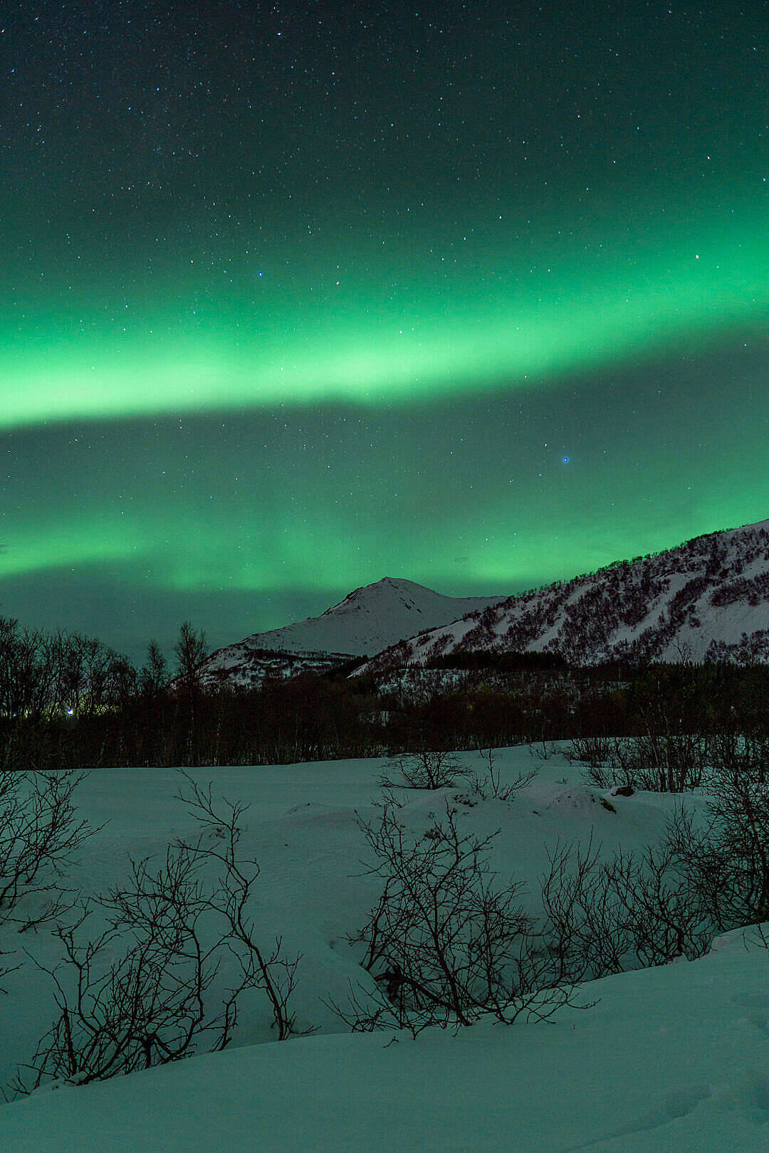 Sky HD, northern lights, aurora borealis, HD Phone Wallpaper