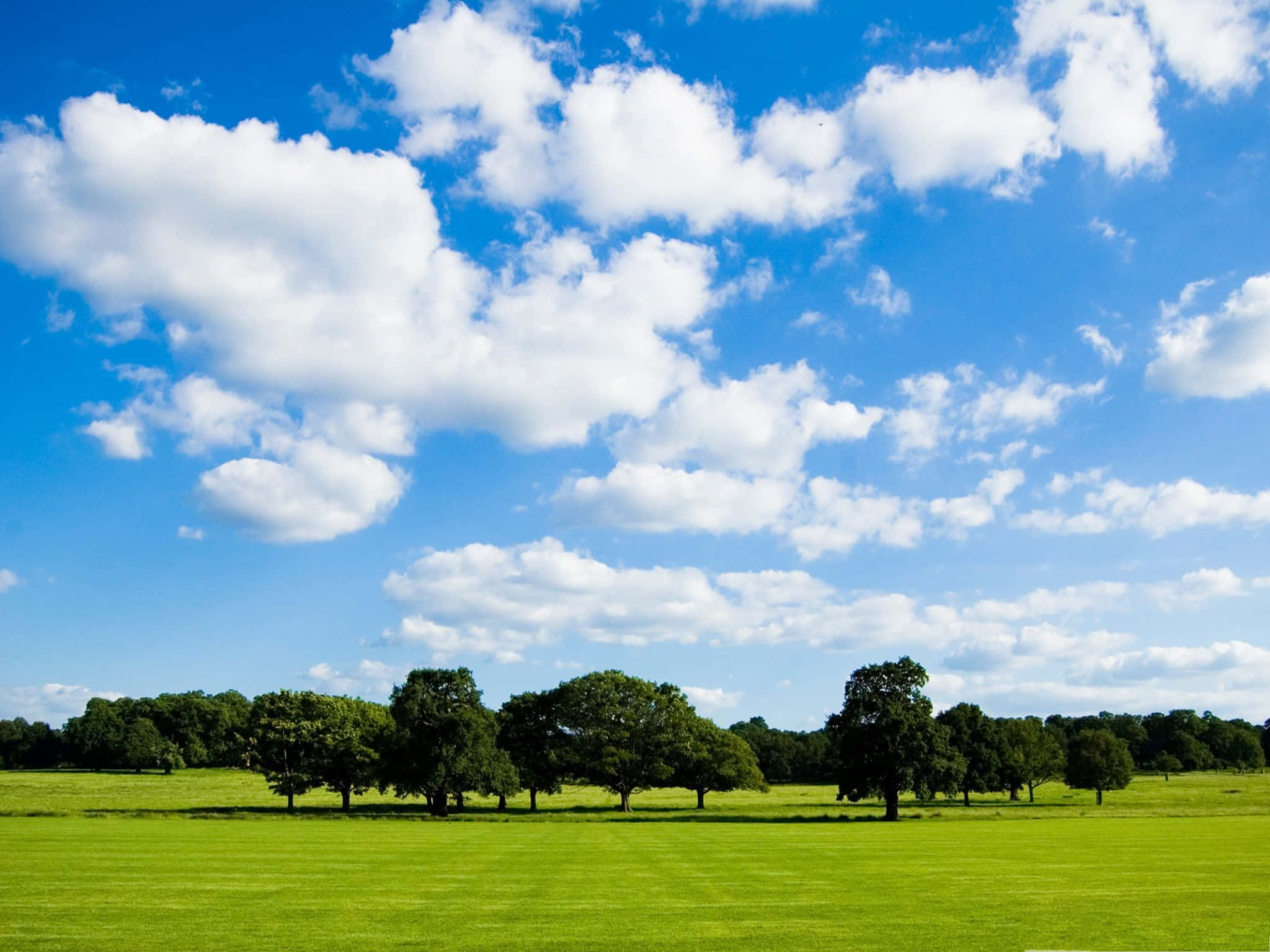 vivid pasture field, bright blue sky, fluffy white clouds, Full HD Desktop Wallpaper