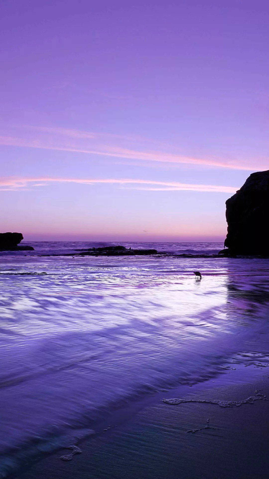 evening violet sky, iPhone 11, twilight, Full HD Phone Wallpaper