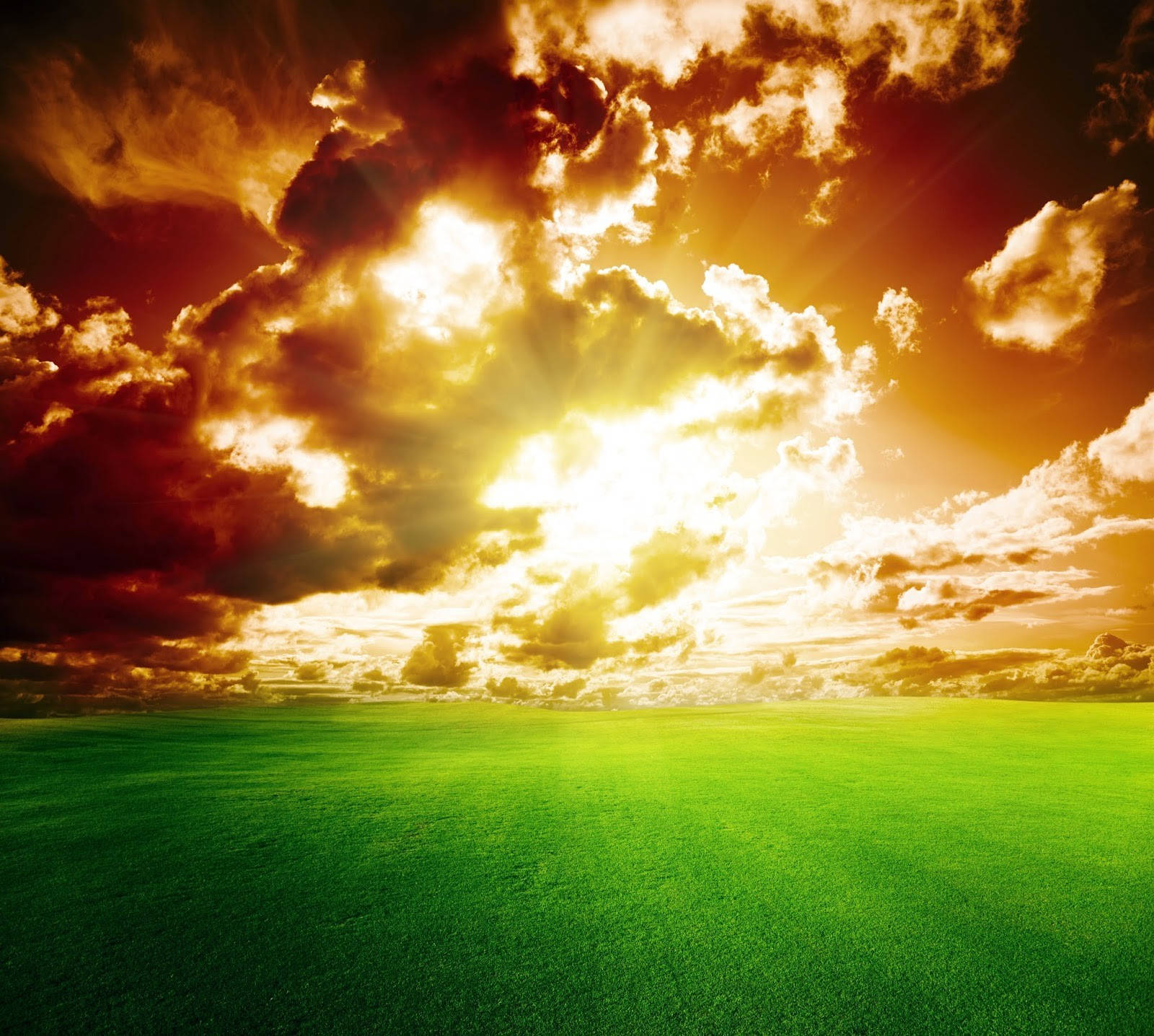 Golden Sunrise, Sky HD, vibrant green field, HD Desktop Wallpaper