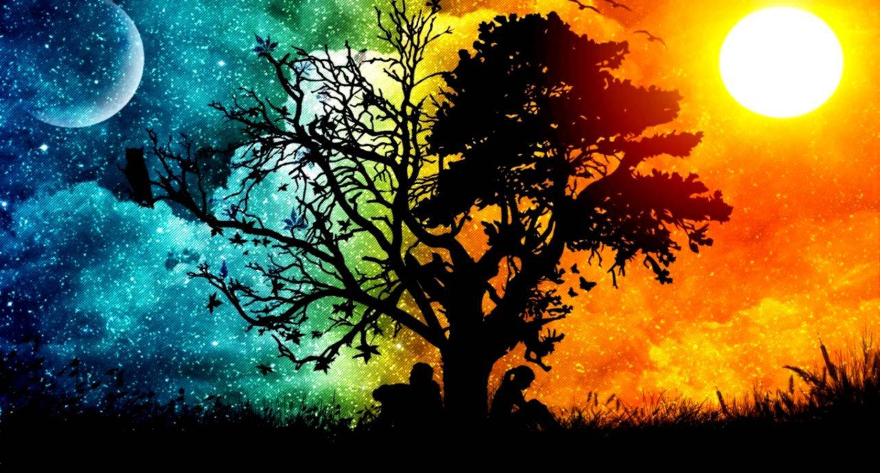Tree Silhouette, fiery sunset, starry cosmic blue, HD Desktop Wallpaper