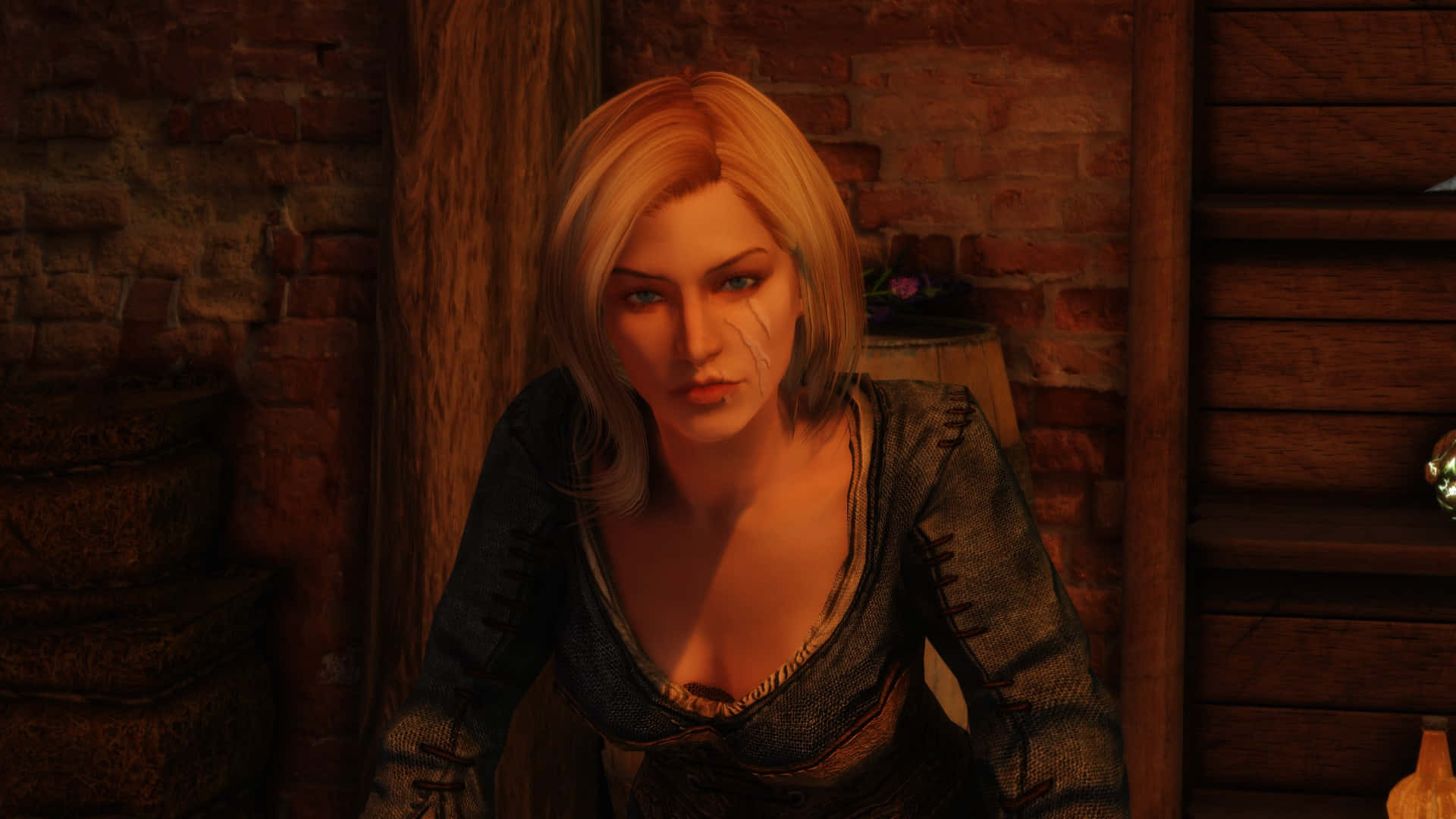 Skyrim Delphine, Delphine, blonde hair, Full HD Desktop Wallpaper