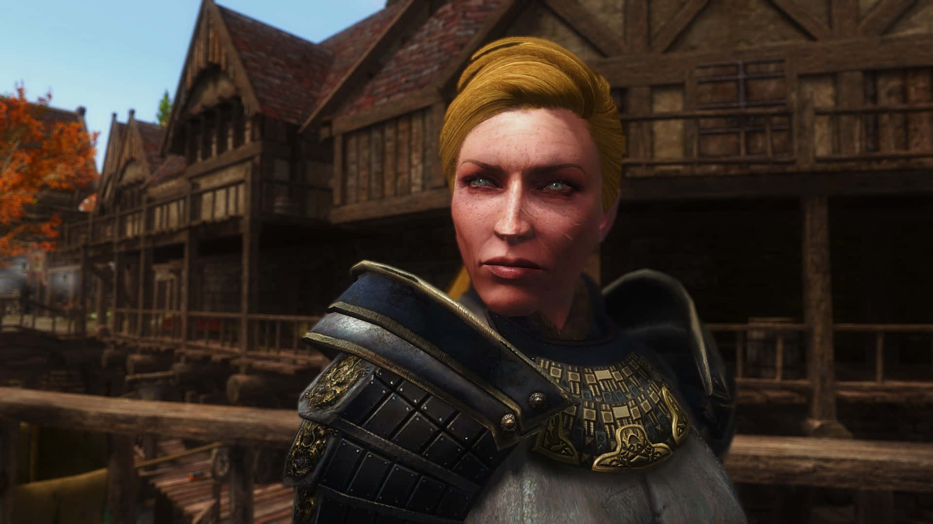 Skyrim Delphine, Delphine, Blade of Skyrim, Full HD Desktop Wallpaper