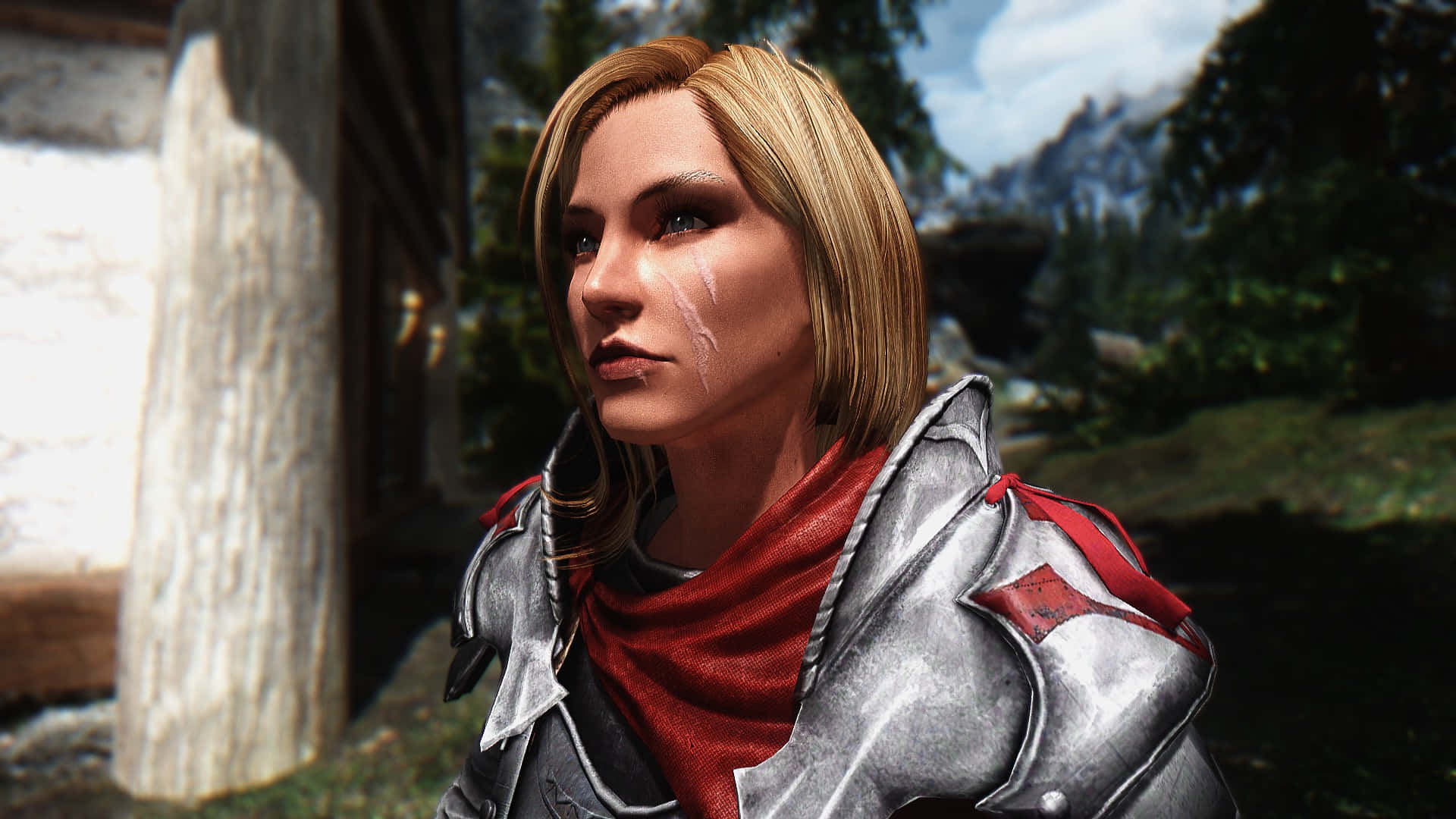 Delphine, Skyrim, silver armor, Full HD Desktop Wallpaper