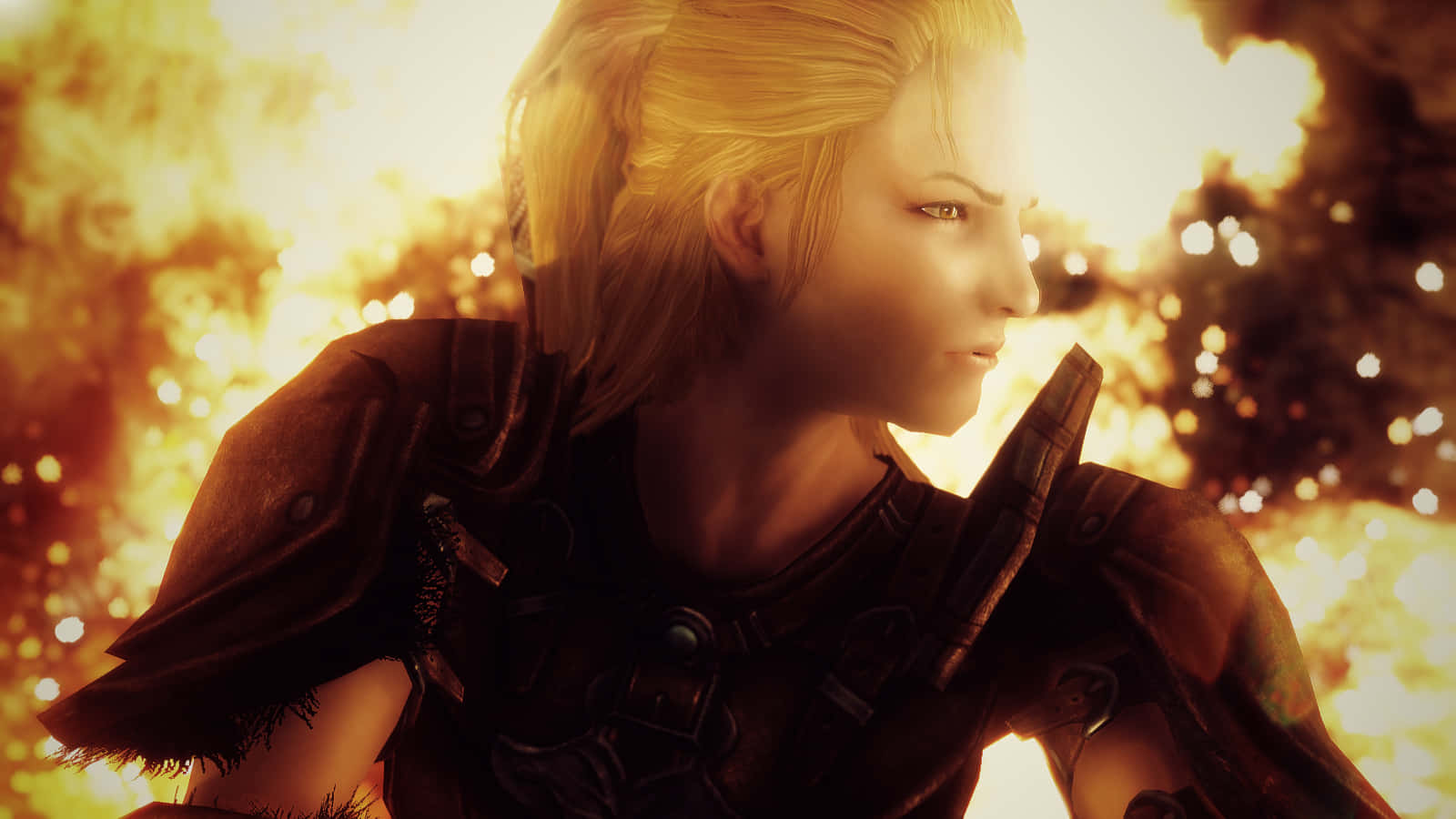 Delphine, Skyrim, blonde warrior, HD Desktop Wallpaper