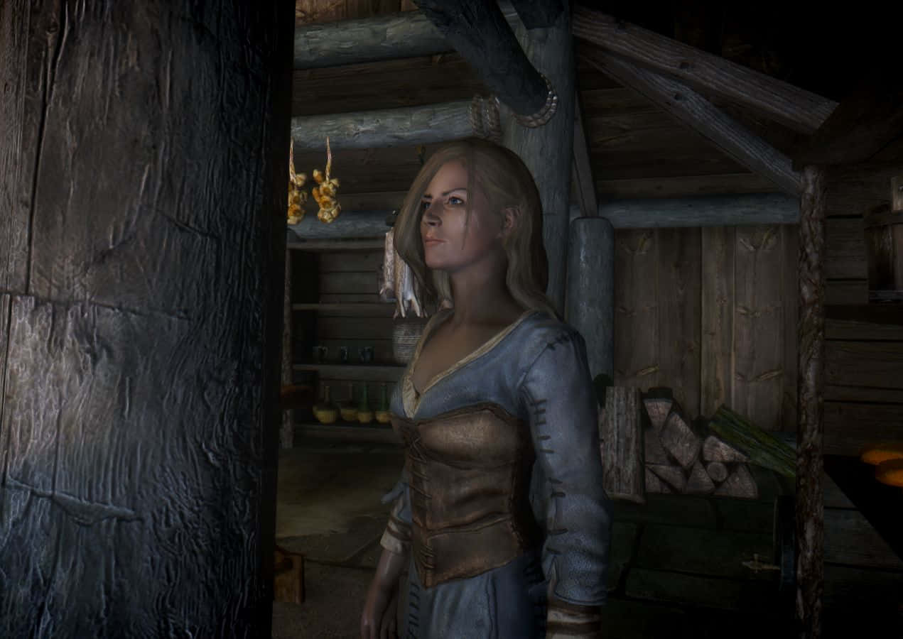 Delphine, Skyrim Delphine, medieval-style armor, SD Desktop Wallpaper