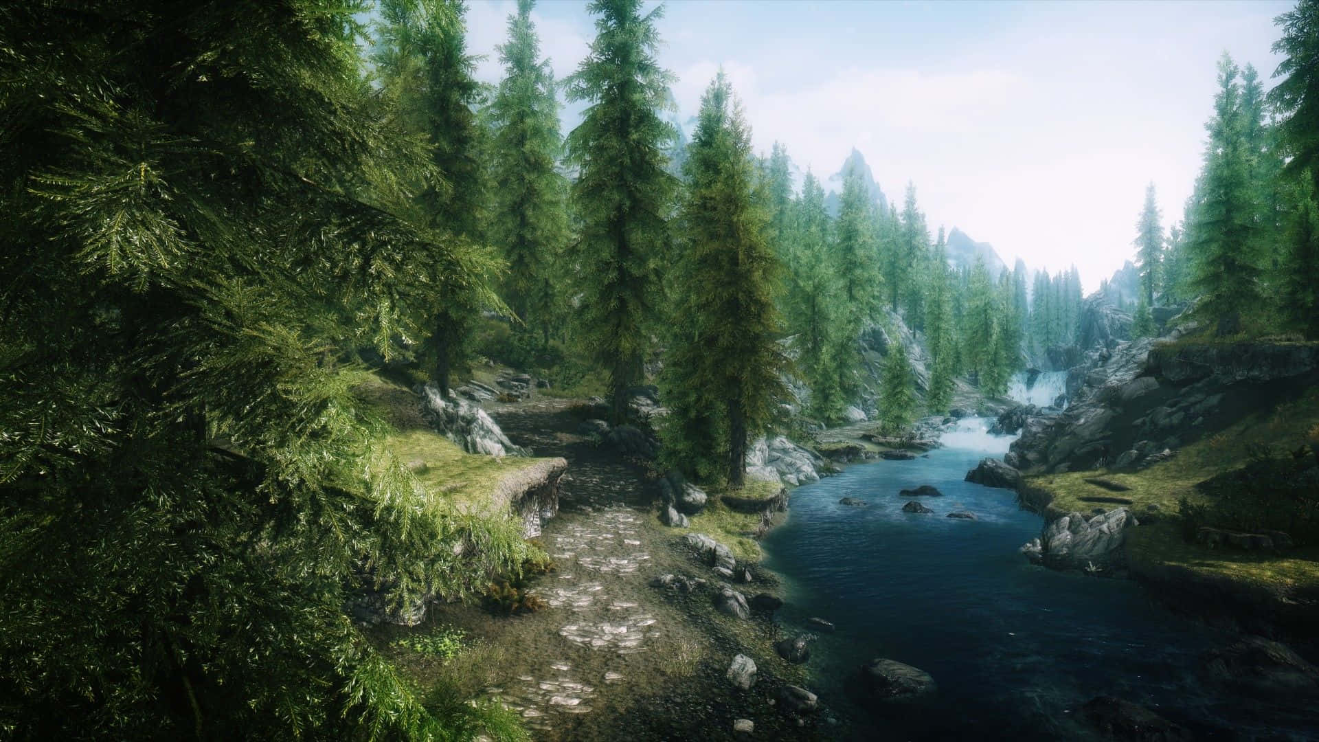 Skyrim, forest river, evergreens, Full HD Desktop Wallpaper