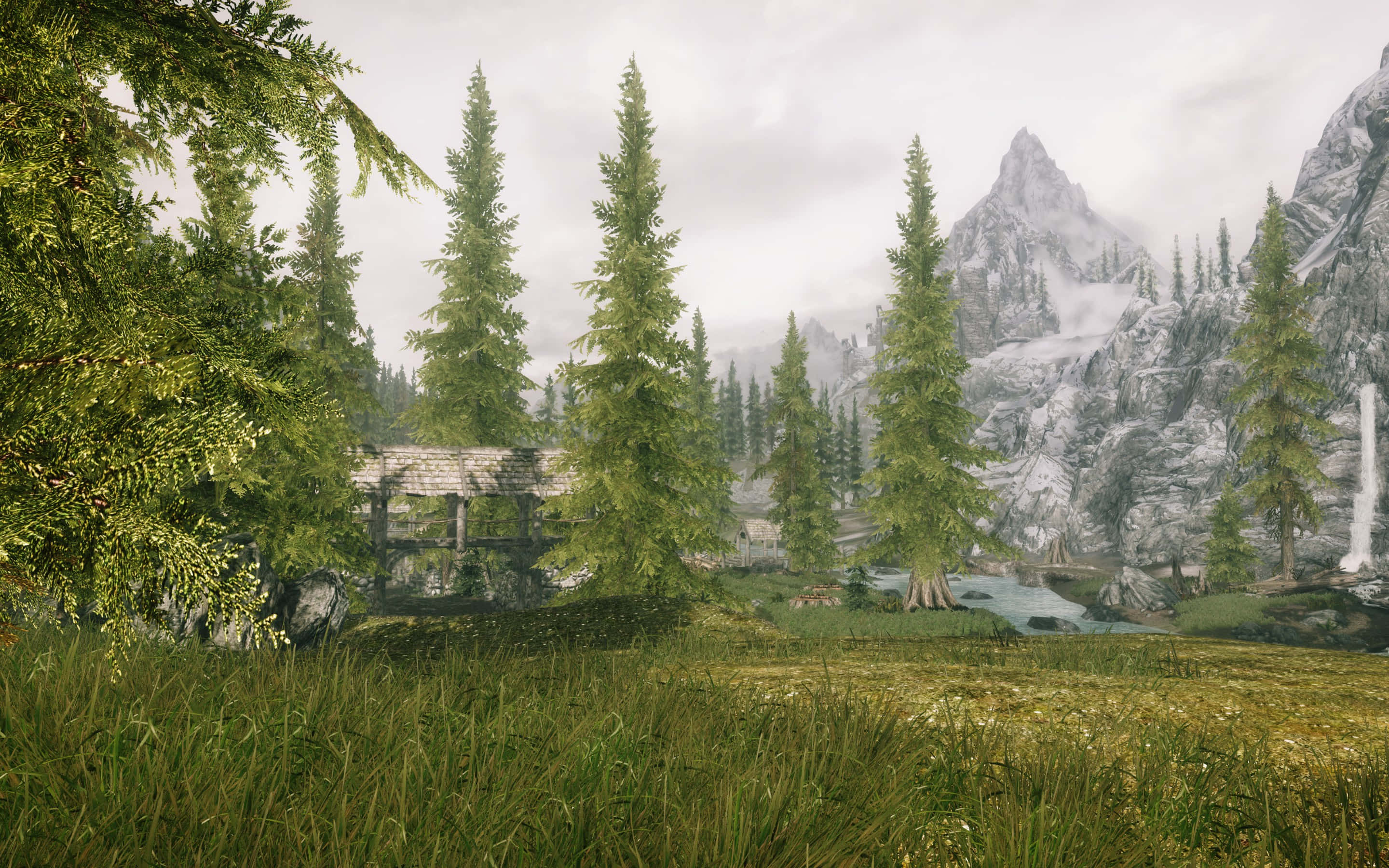 Skyrim, Falkreath, misty mountain valley, 2K Desktop Wallpaper