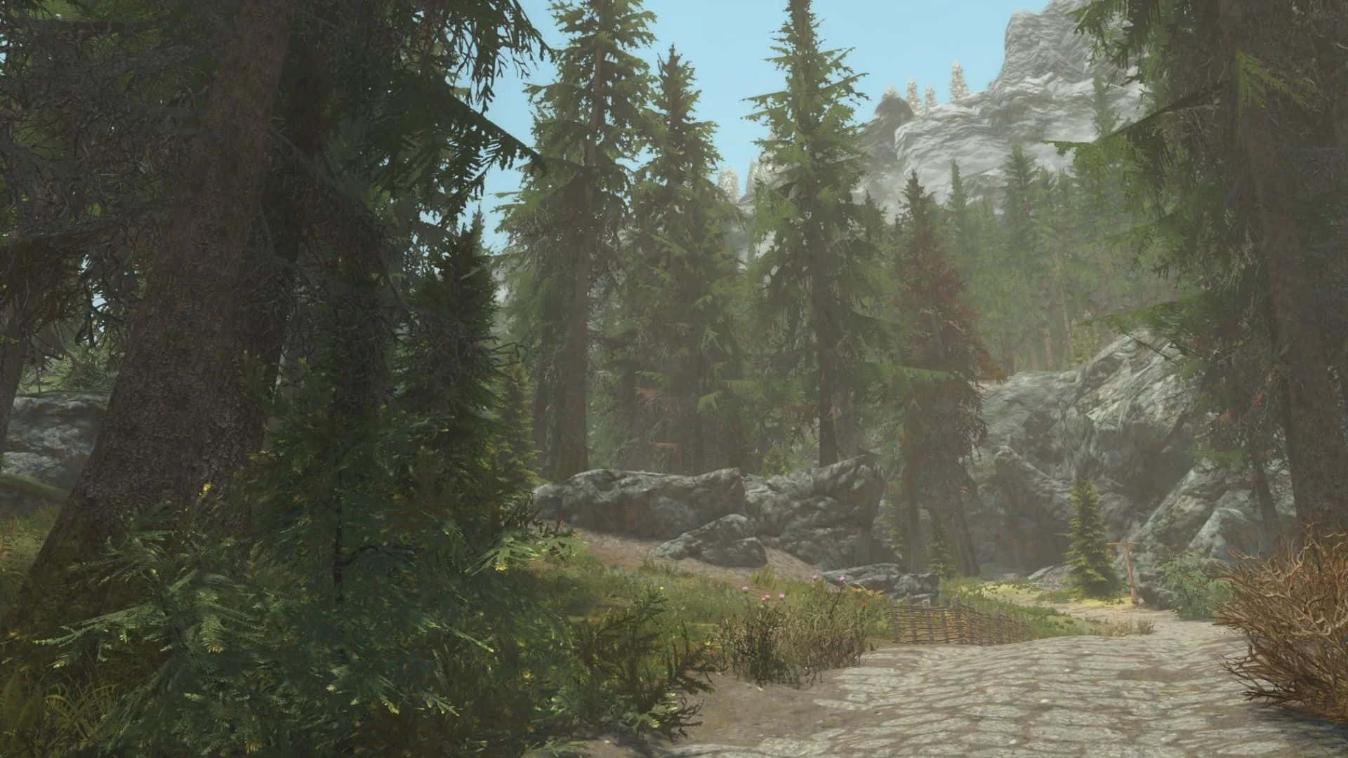 Skyrim, Falkreath, sunlit forest path, Full HD Desktop Wallpaper