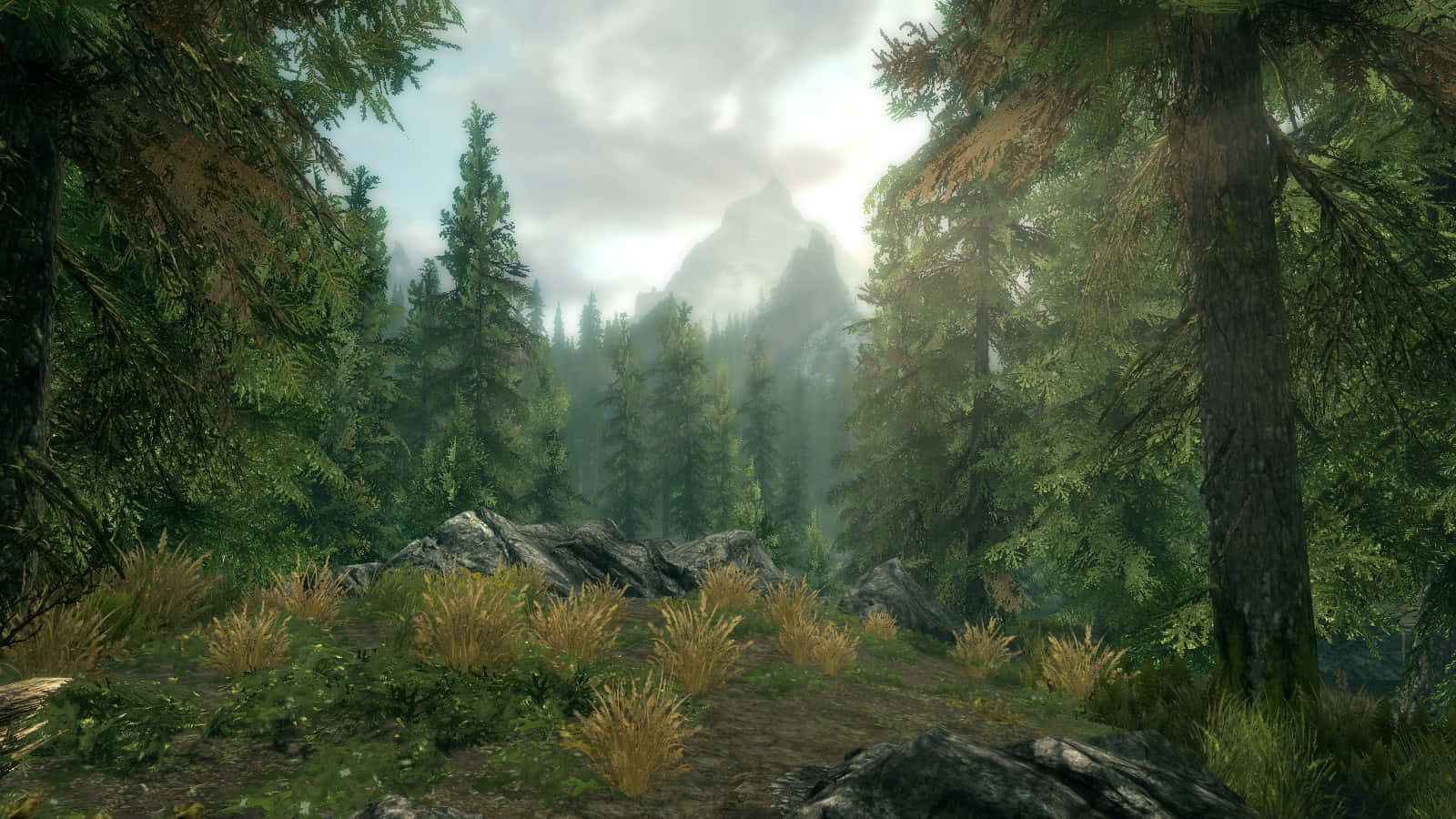 Skyrim Falkreath, misty forest path, towering evergreens, HD Desktop Wallpaper